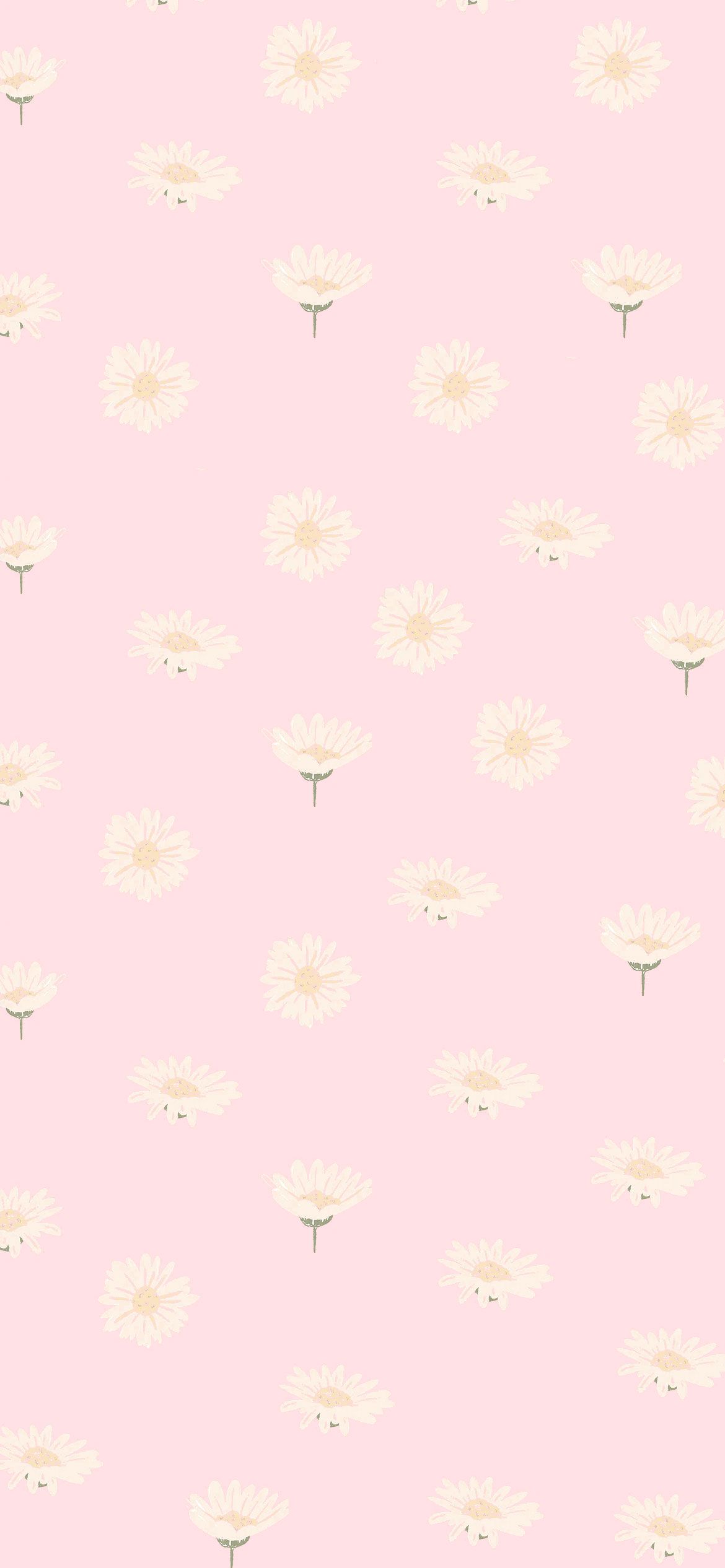 Pink Aesthetic Picture : Pretty Daisy Pink Wallpaper