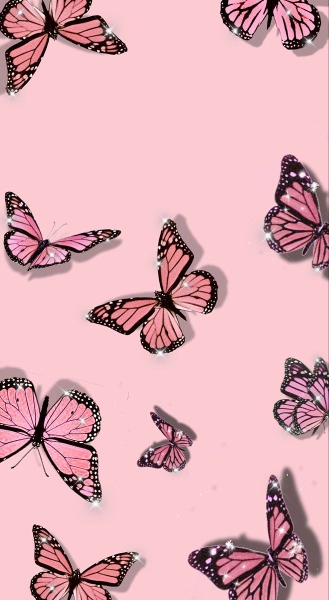A pink background with many butterflies flying around - Cute pink
