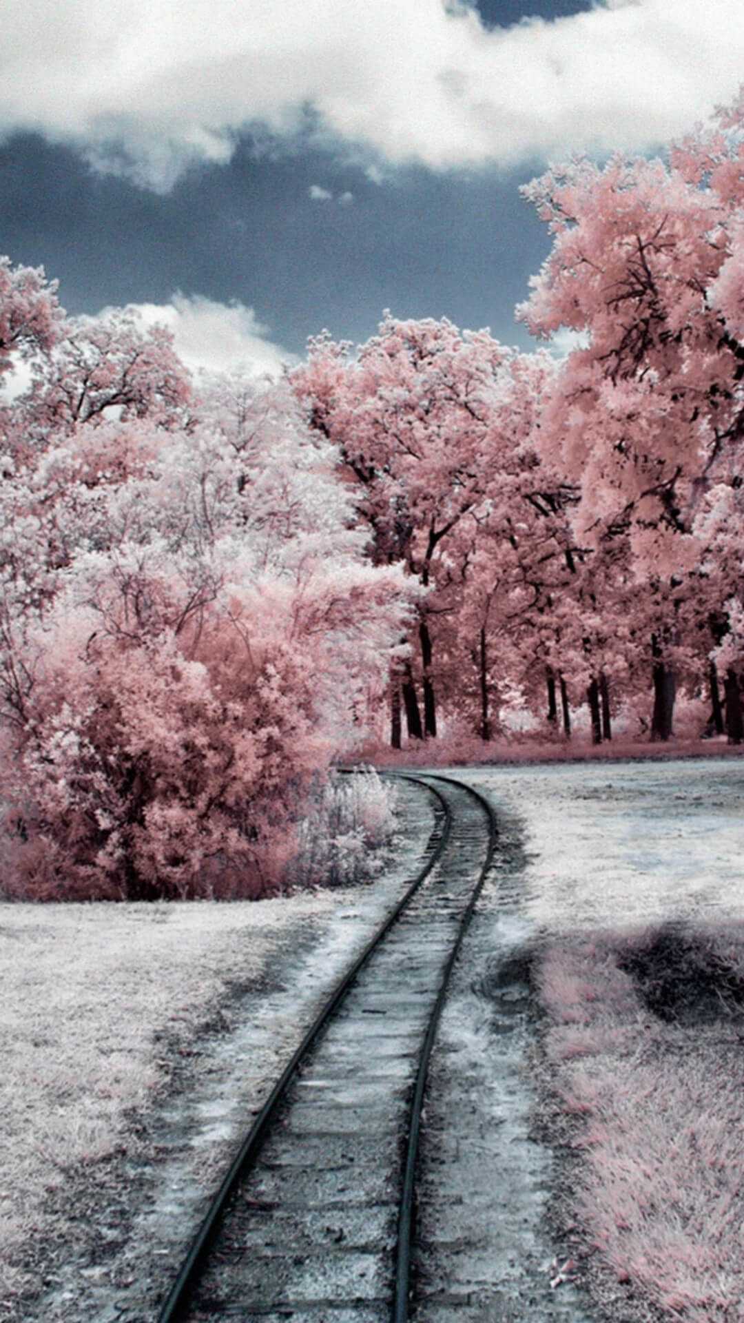 A train track going through some trees - Rose gold, snow, winter