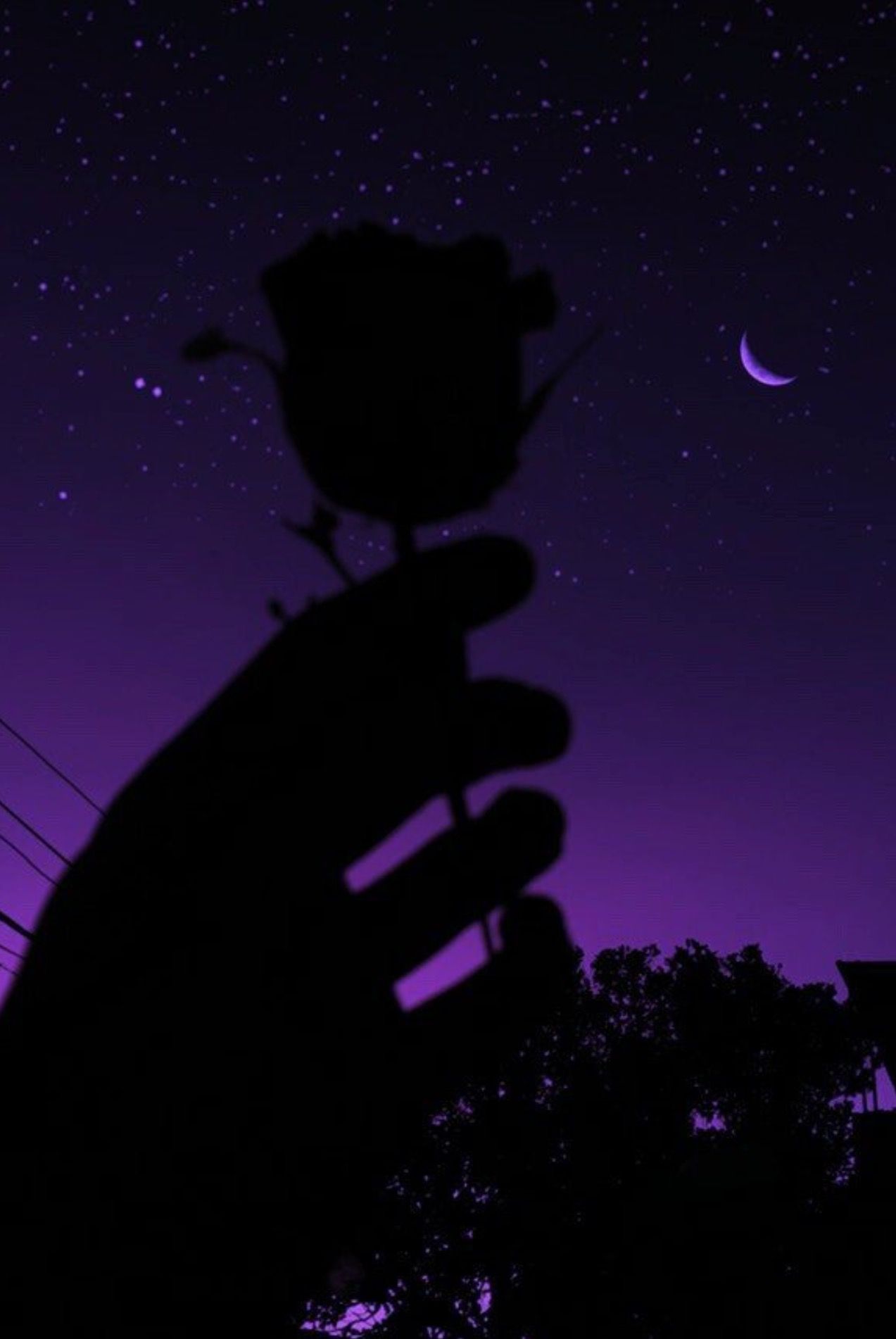 A hand holding up some flowers in the dark - Dark purple, purple, dark phone, dark vaporwave, sky, violet, neon purple, cute purple, dark