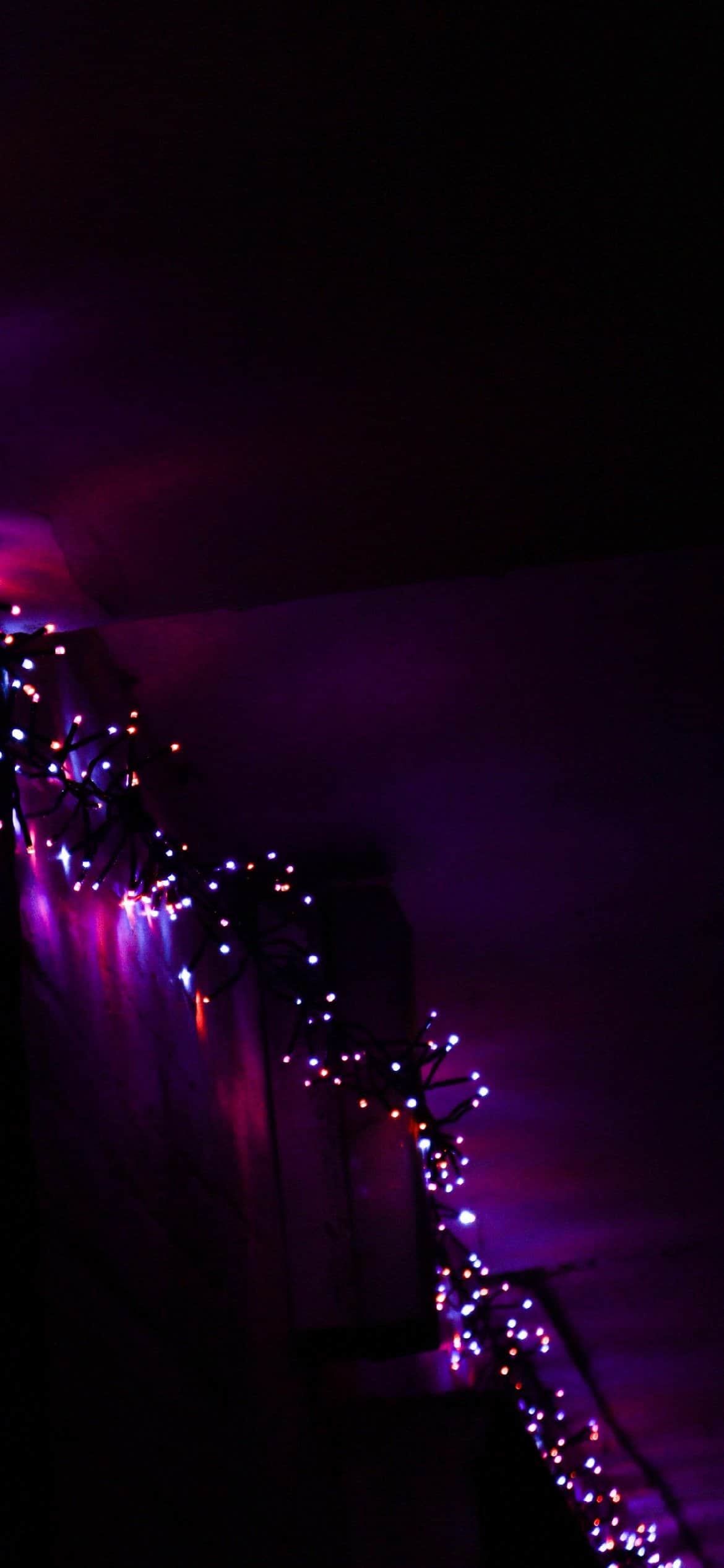 A string of purple and white Christmas lights. - Dark purple, light purple, dark phone