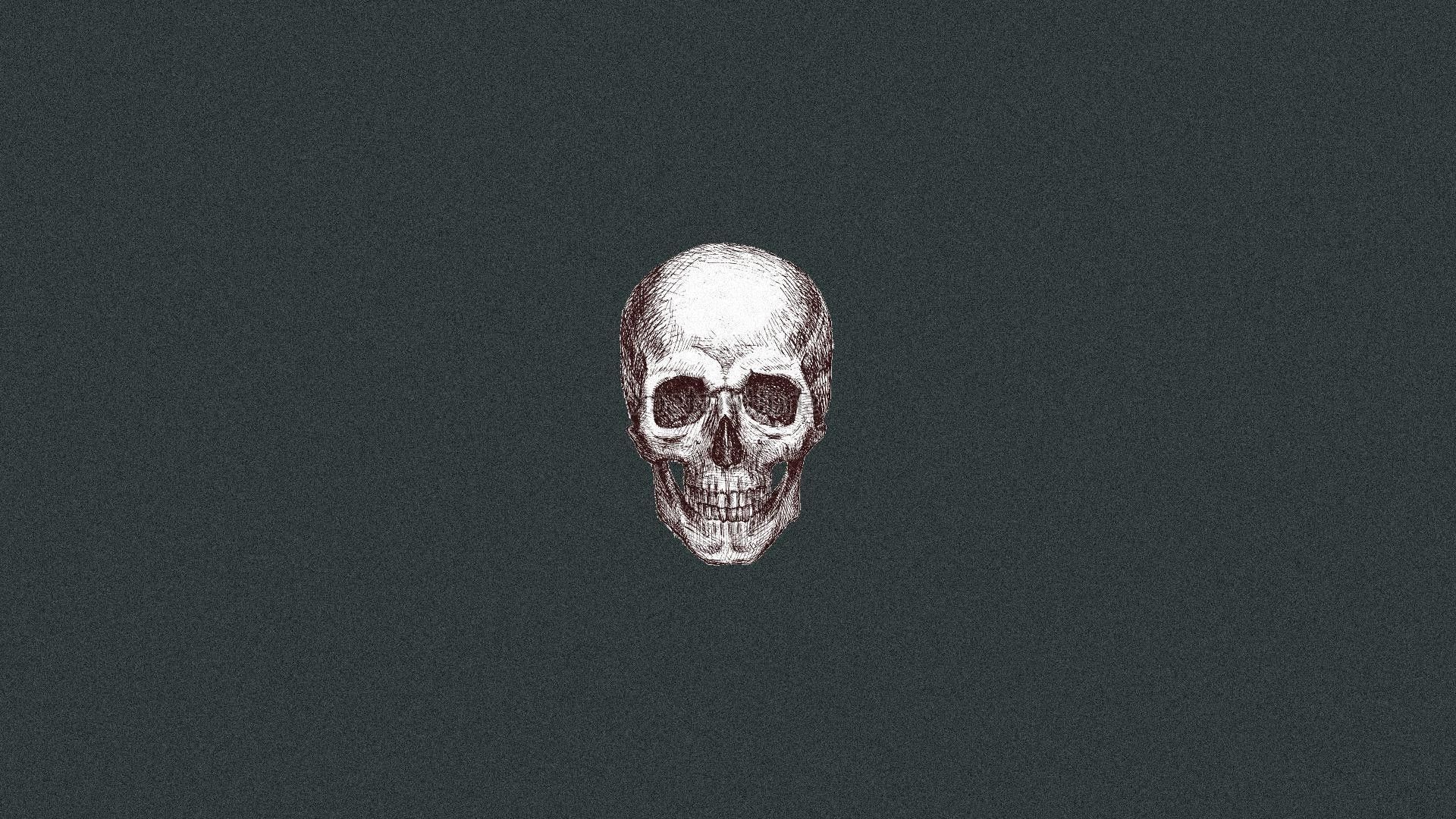A skull on a black background - Skeleton
