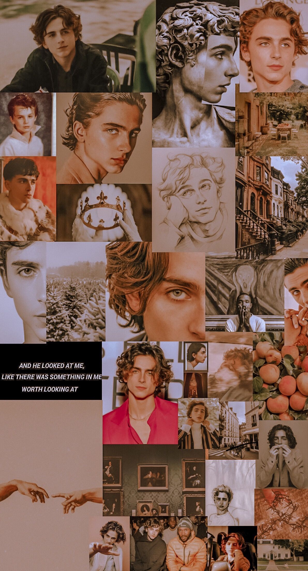 Aesthetic of Timothee Chalamet from the movie 