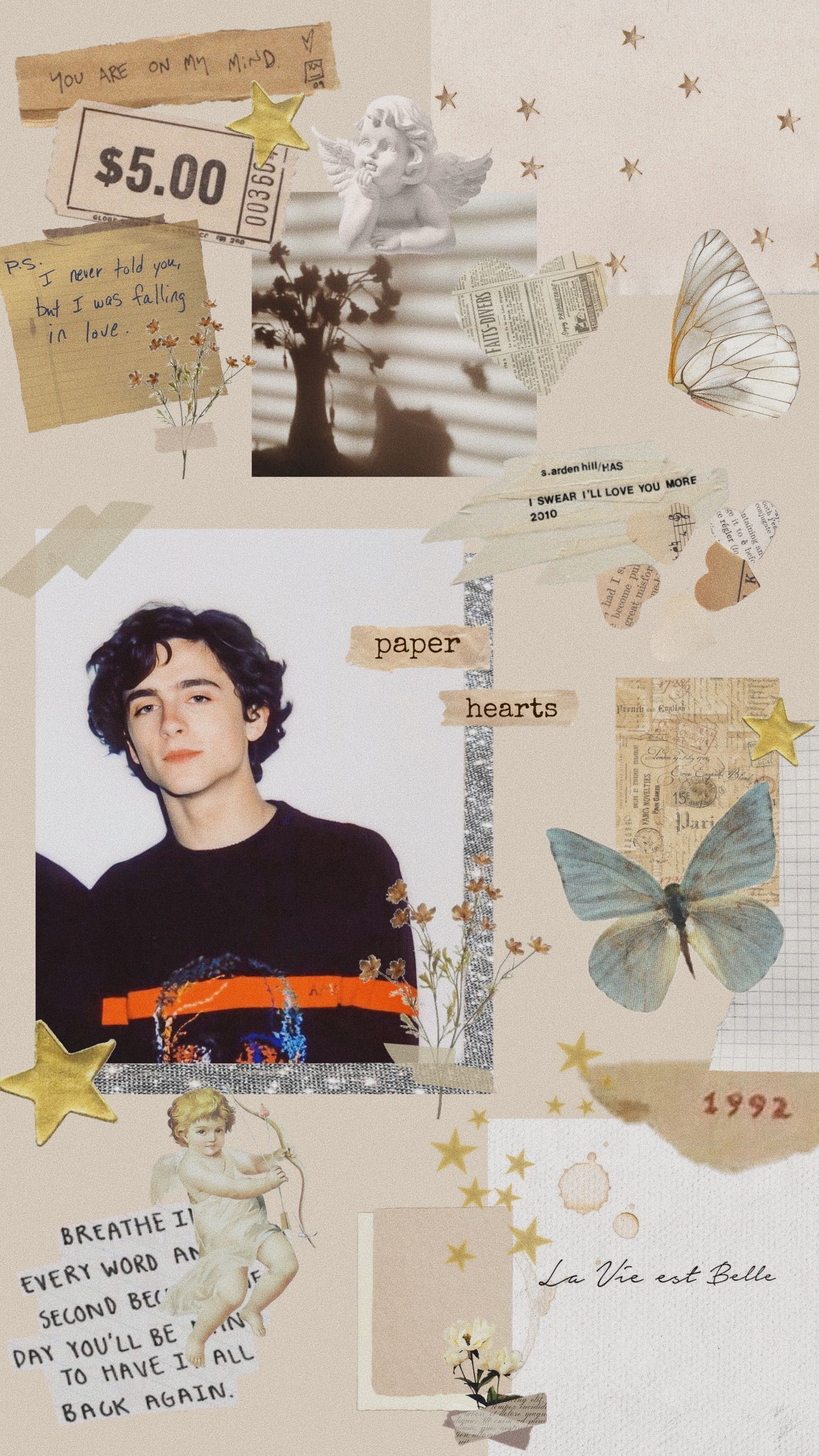 A collage of pictures and words - Timothee Chalamet