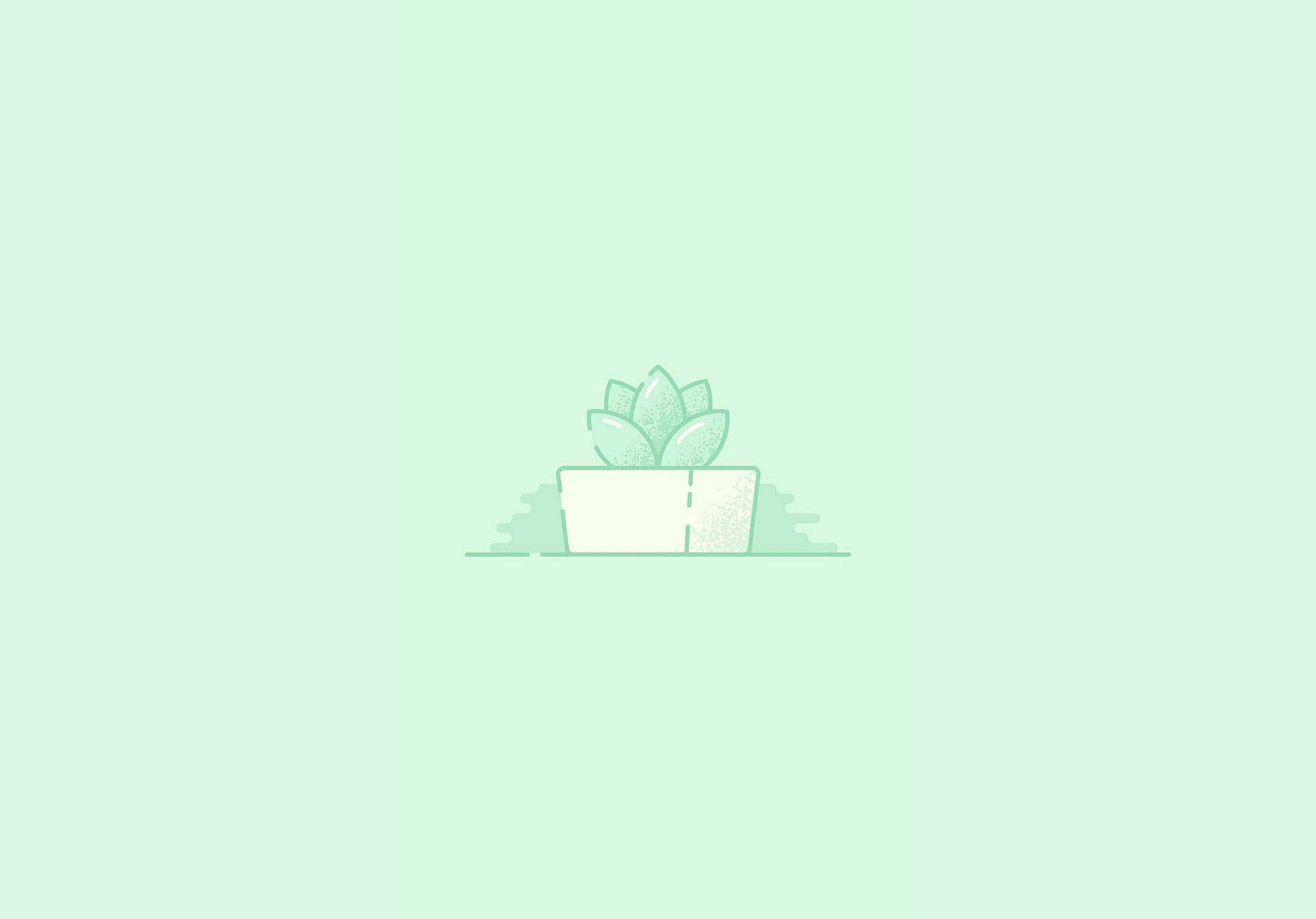 A potted plant on a green background - IPad, green, succulent, funny, mint green