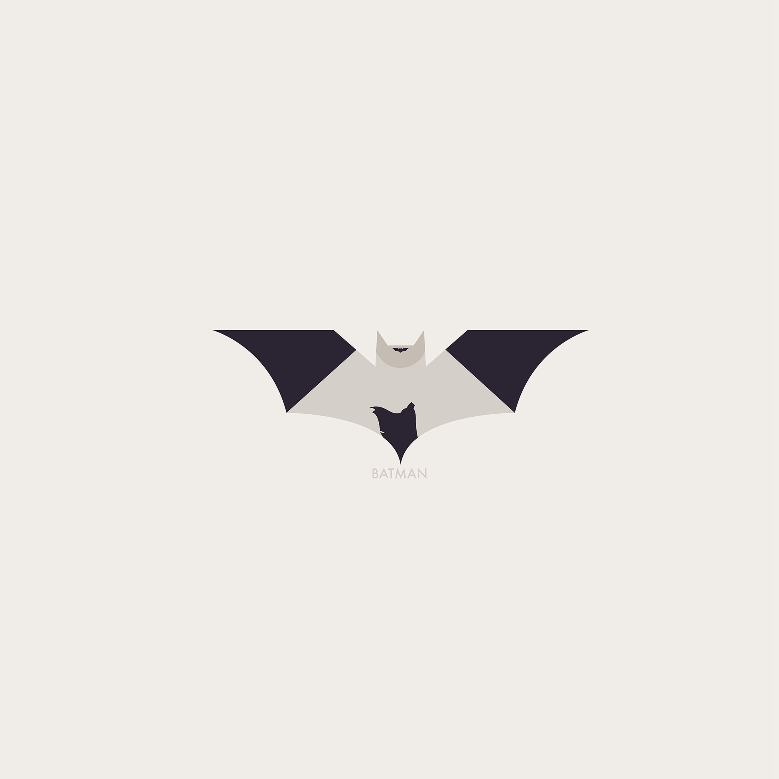 A bat logo with the word 'bat' written on it - IPad, Batman