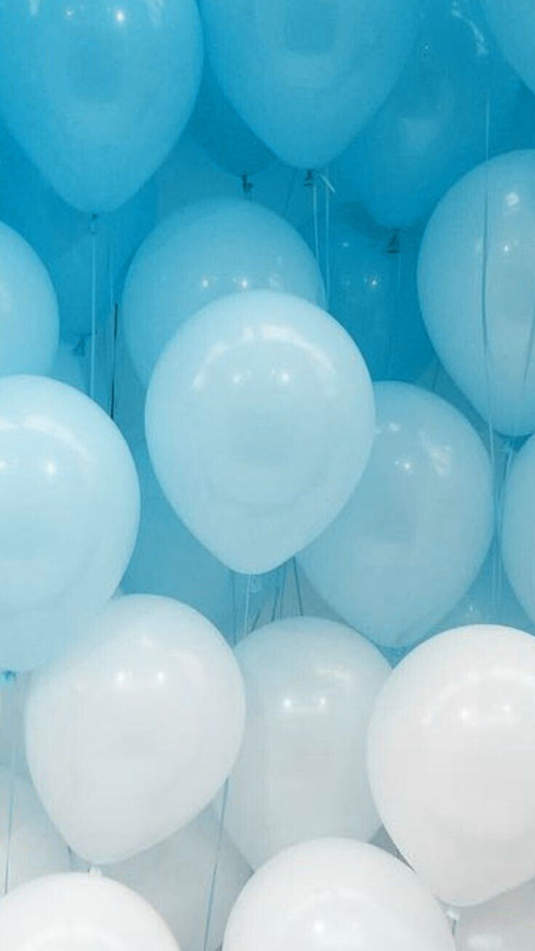 A close up of many blue and white balloons - Blue, pastel blue, balloons