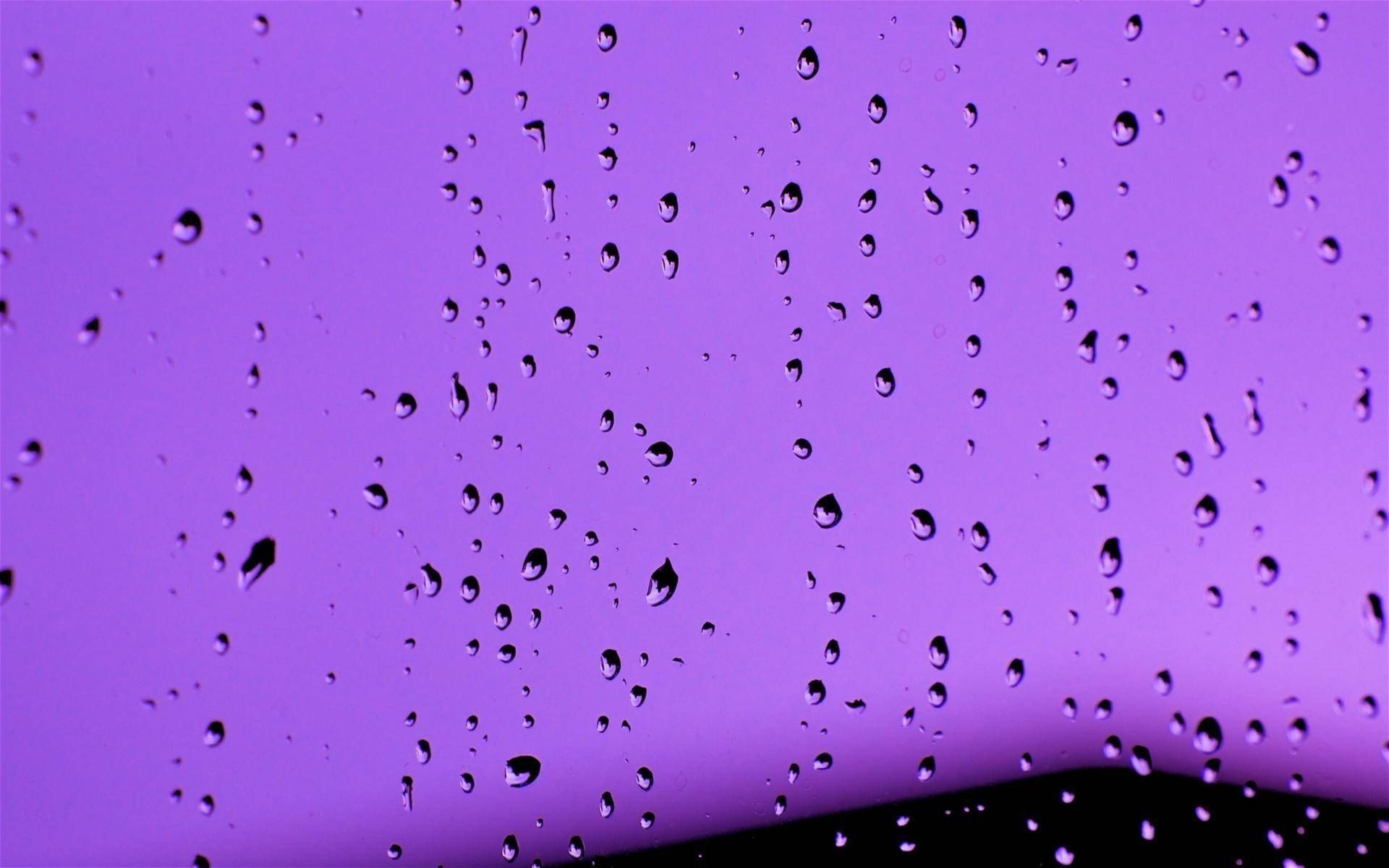 A close up of rain drops on the window - Lavender, light purple, 1920x1200