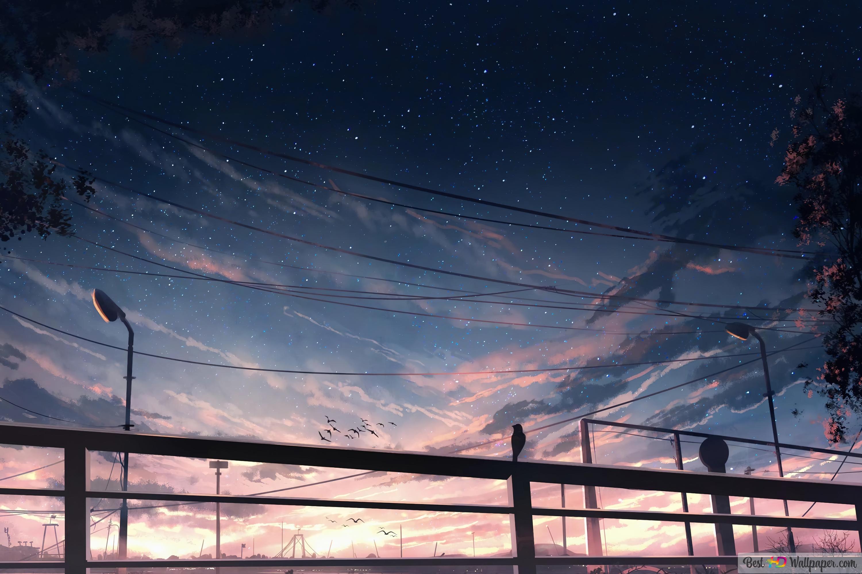 Birds flying under the starry sky wallpaper - Anime sunset