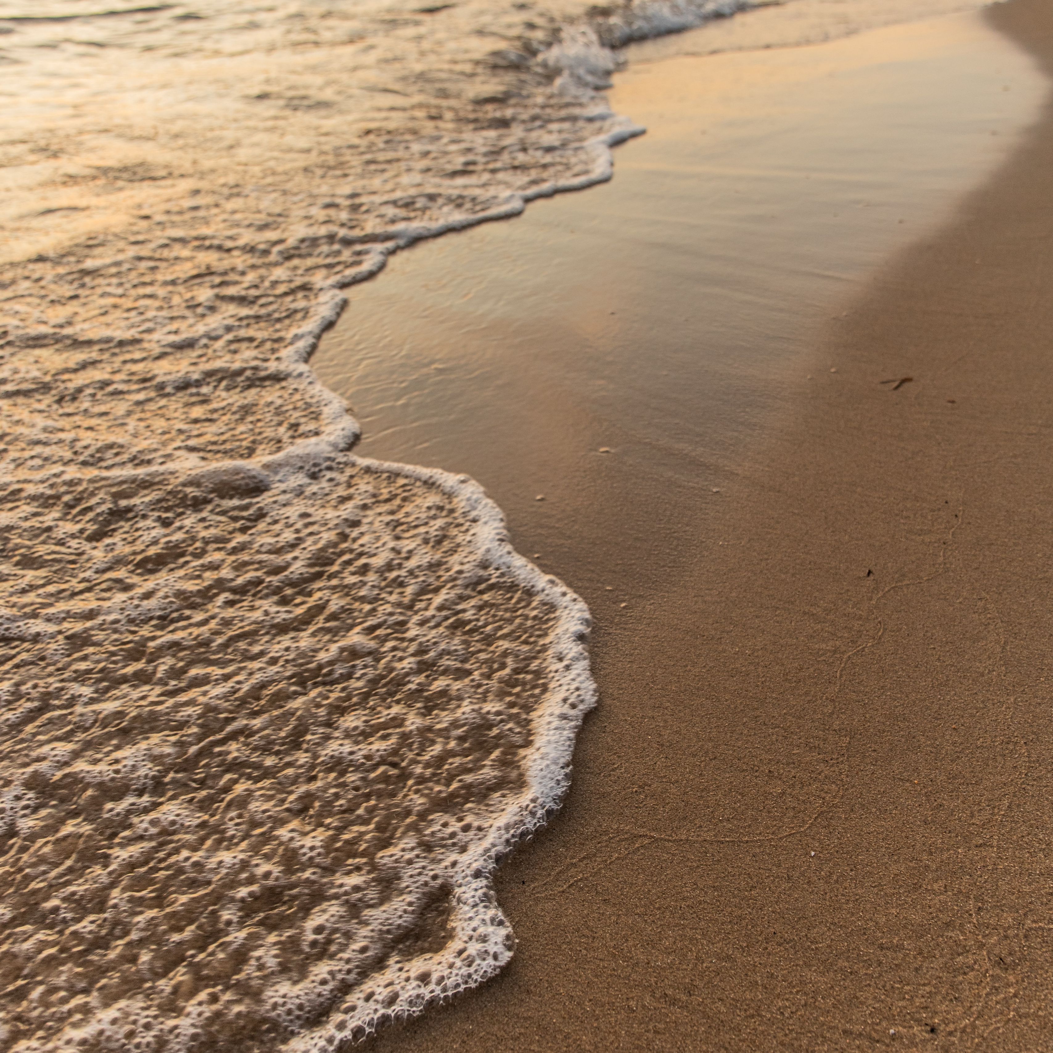 A wave rolls onto the sand at the beach. - Coast, beach