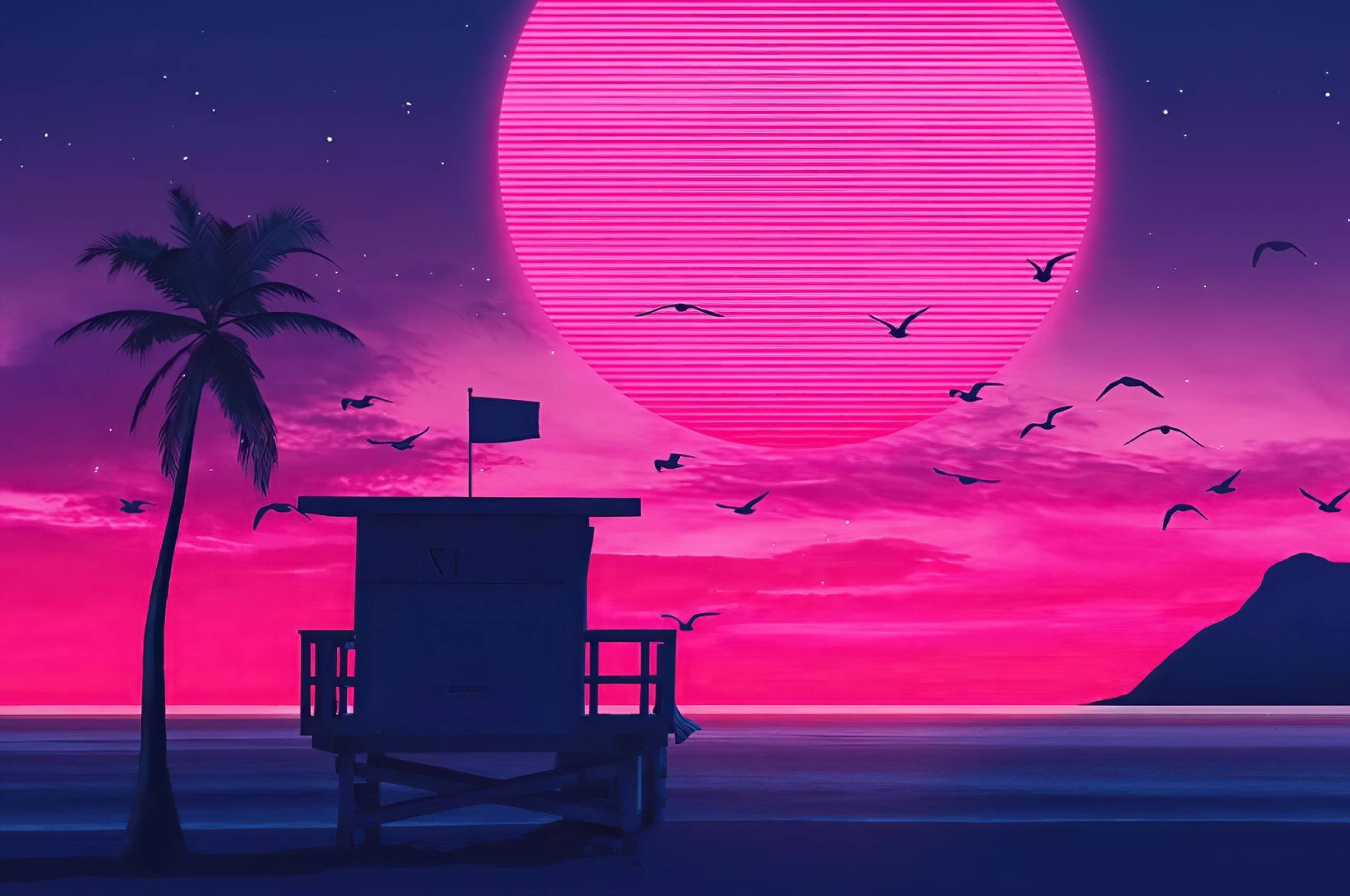 A sunset scene with palm trees and birds - Chromebook