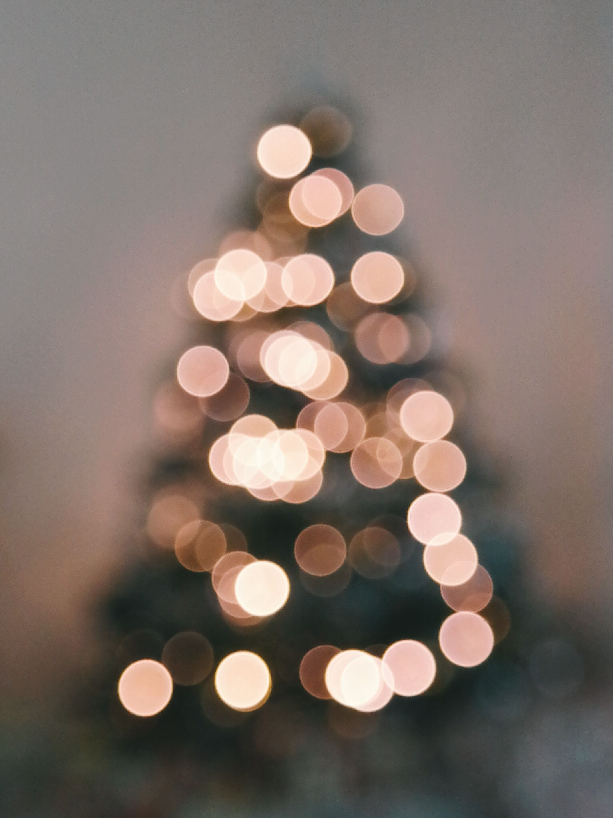 A blurry photo of a Christmas tree with white lights. - Christmas, blurry, white Christmas