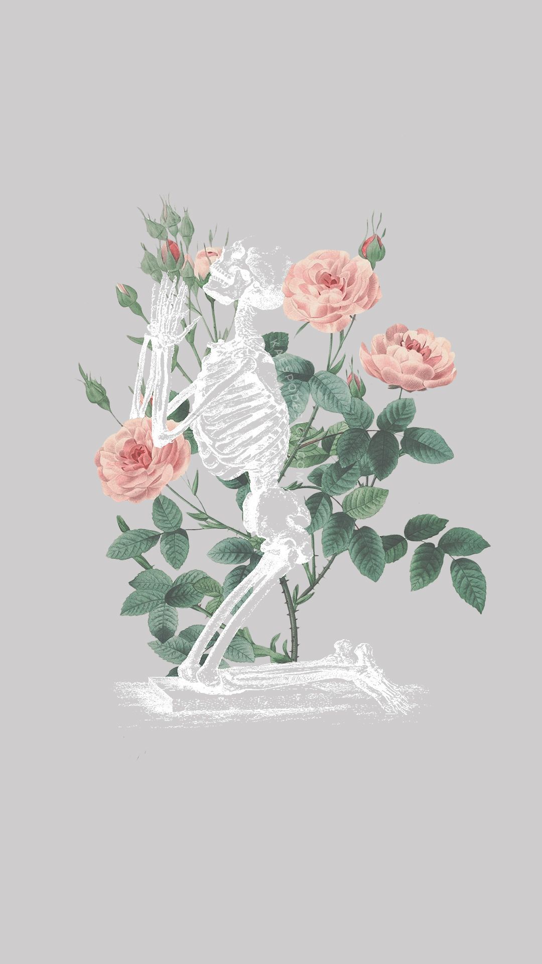 Skeleton with roses on a grey background - Skeleton