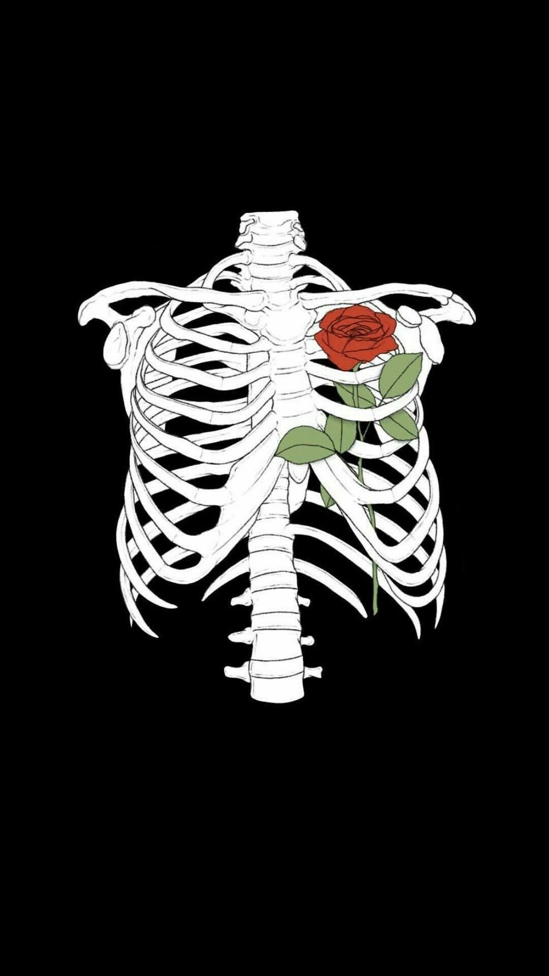 Aesthetic skeleton with a rose in its rib cage - Skeleton