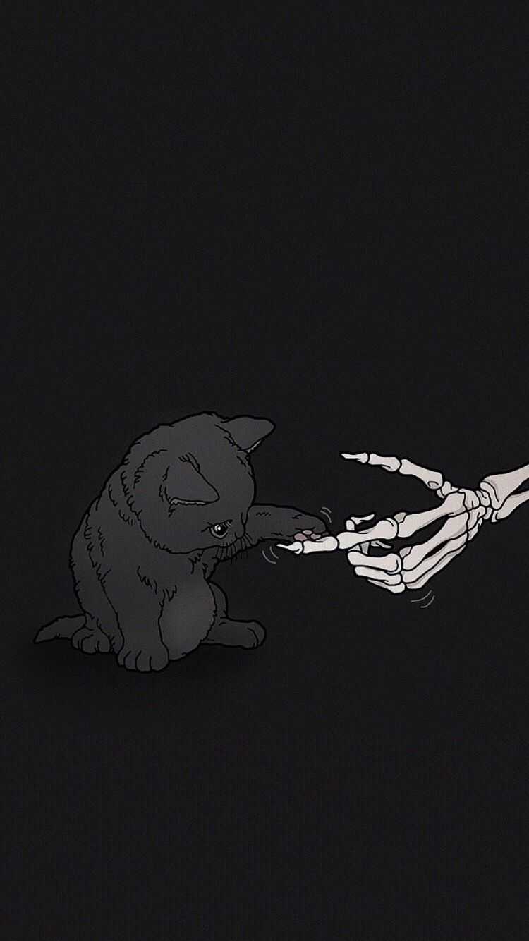 Black cat wallpaper for iPhone and Android. - Skeleton, skull