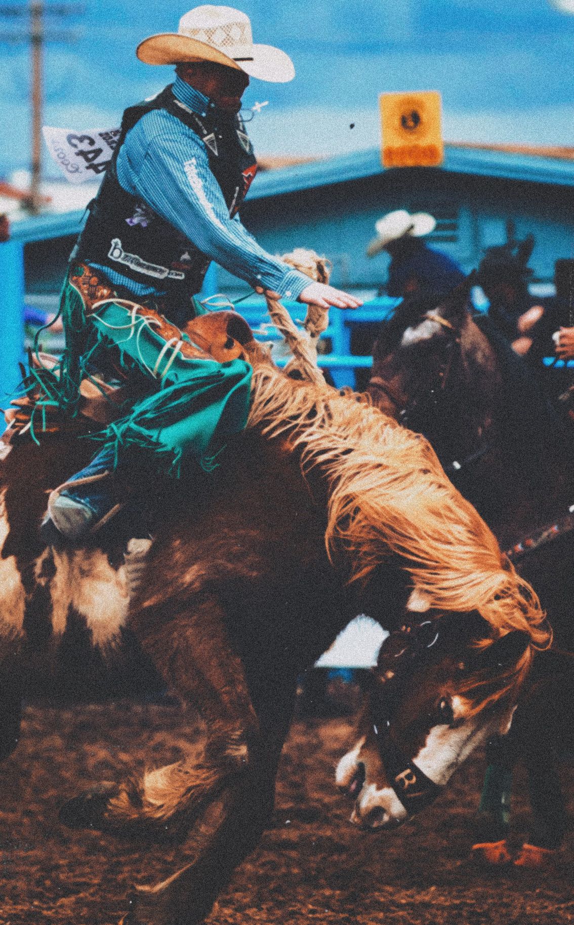 A cowboy riding a bucking brown and white horse in a rodeo arena - Cowgirl