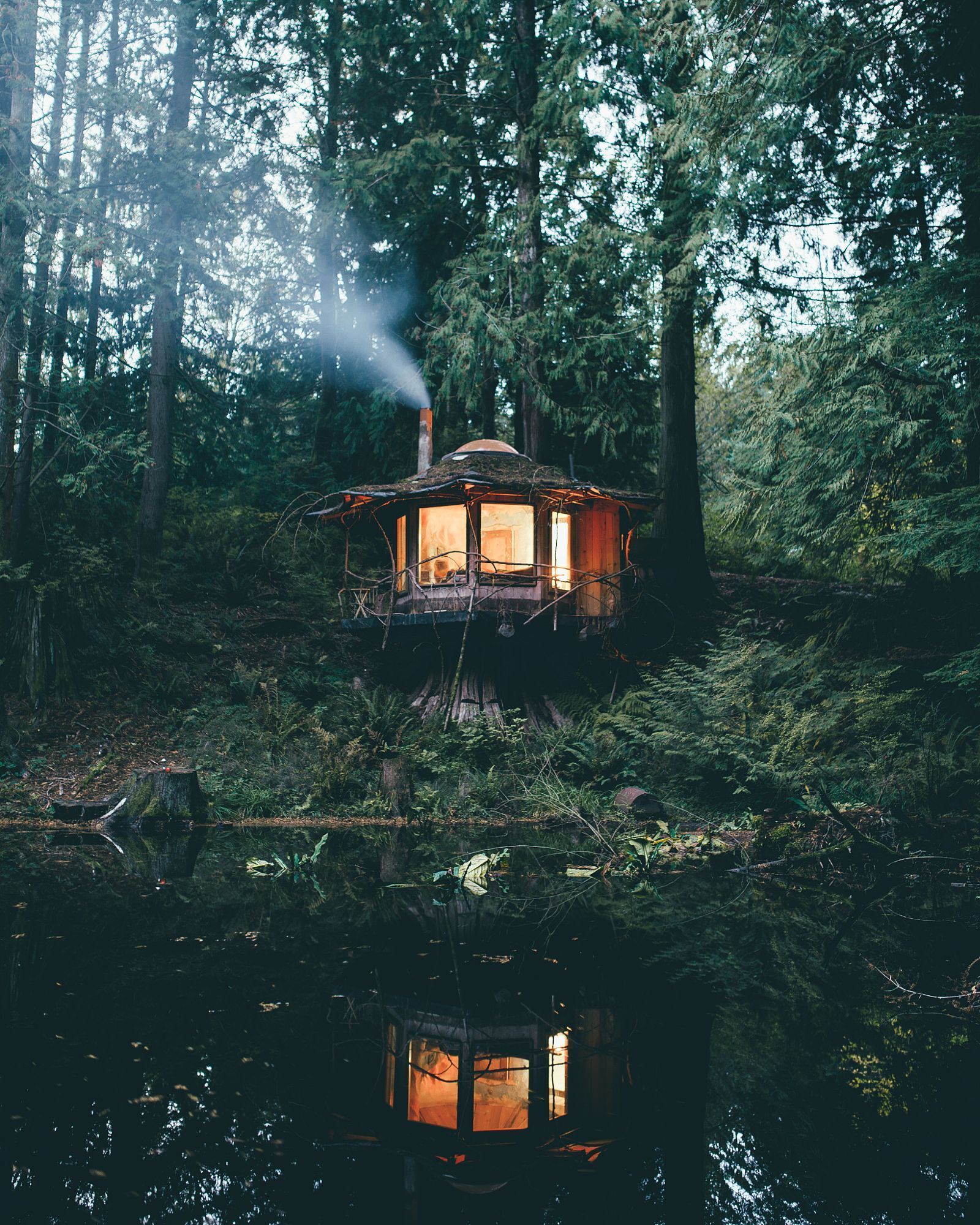 A small treehouse on a tree in the middle of a forest - Cozy