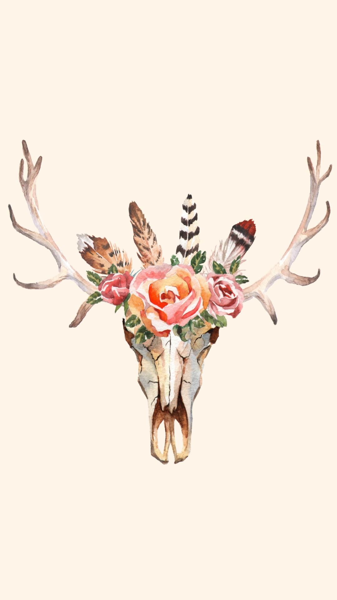 A deer skull with flowers and feathers. - Cowgirl