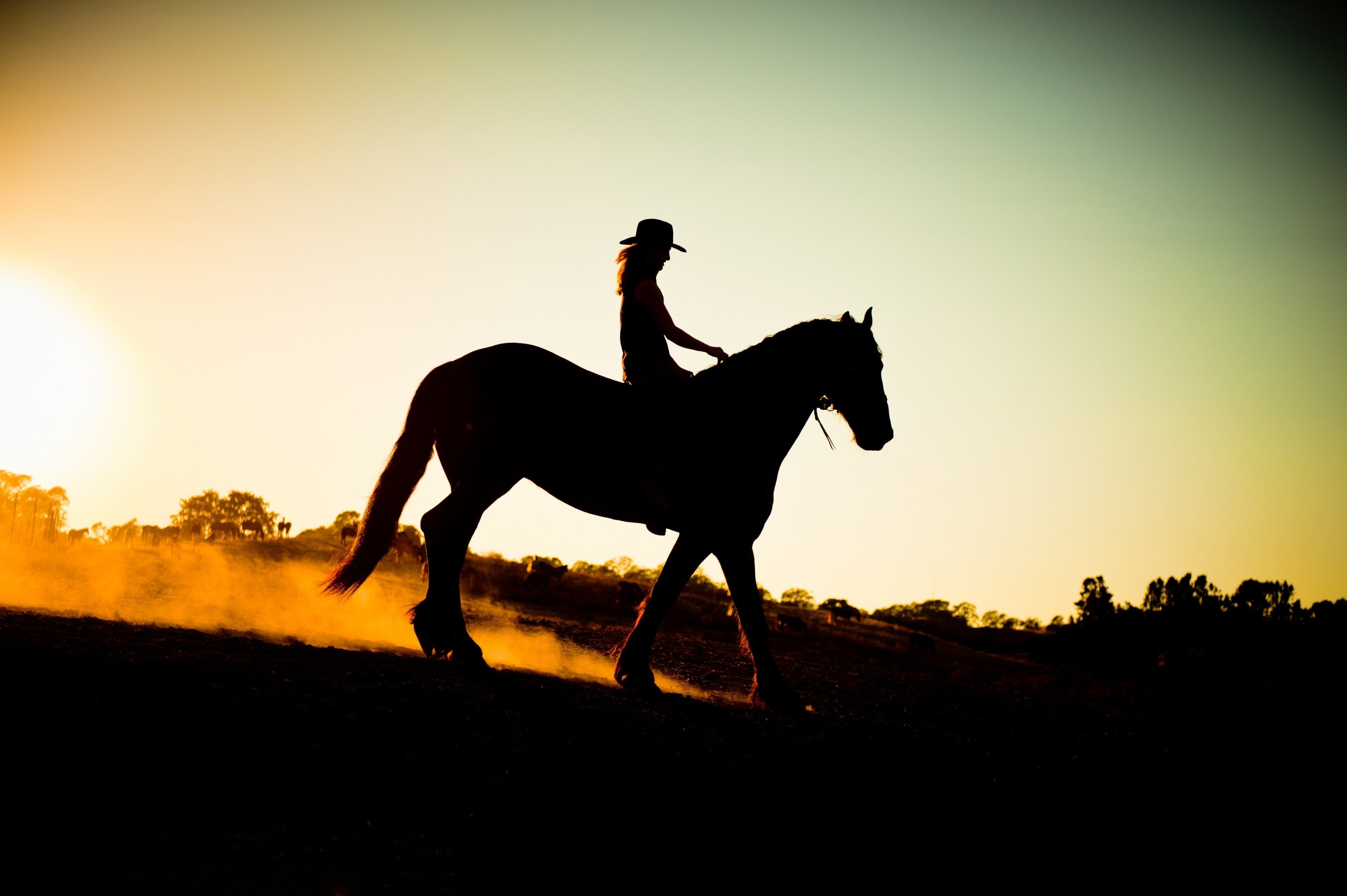 A woman riding a horse in the sunset - Cowgirl