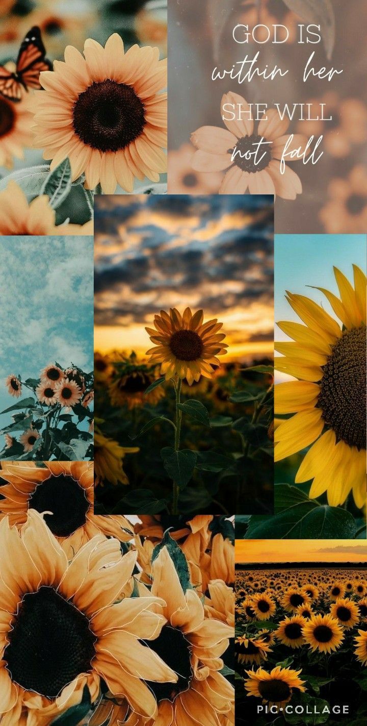 A collage of sunflowers with the words god is love - Sunflower
