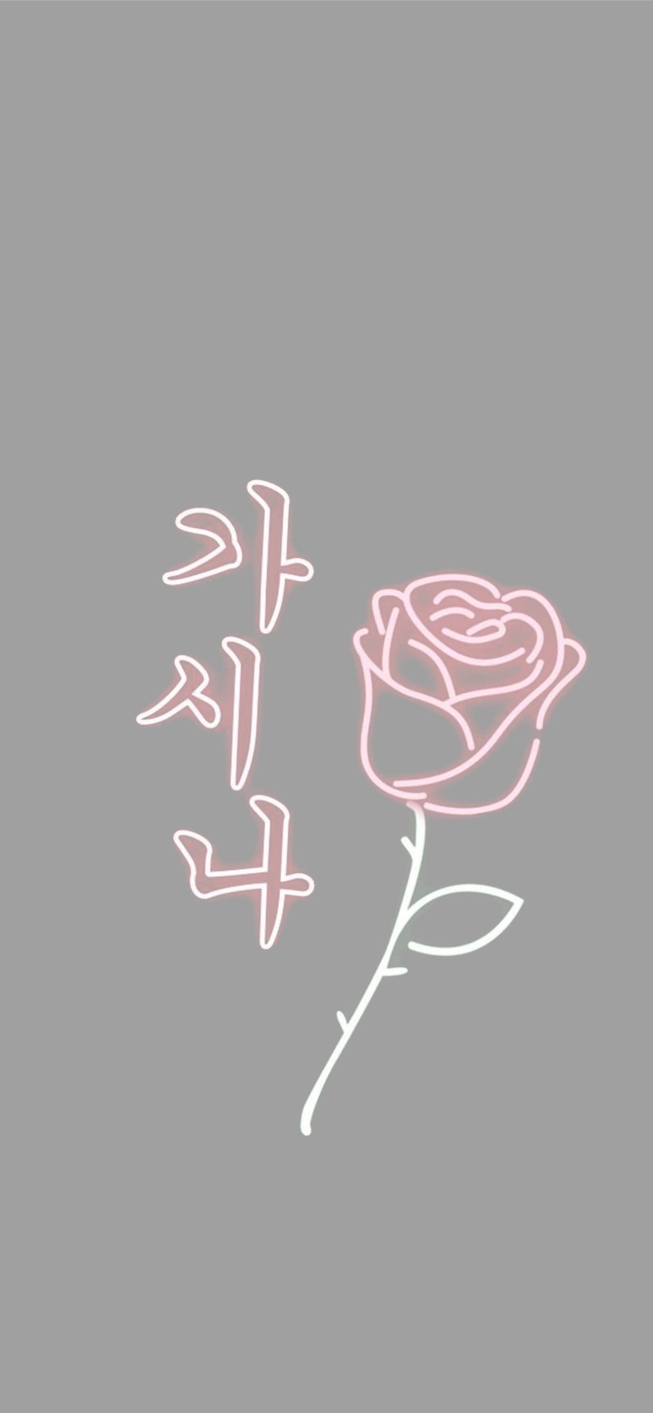 Aesthetic rose wallpaper with Korean text and grey background - Couple, gray, iPhone, roses