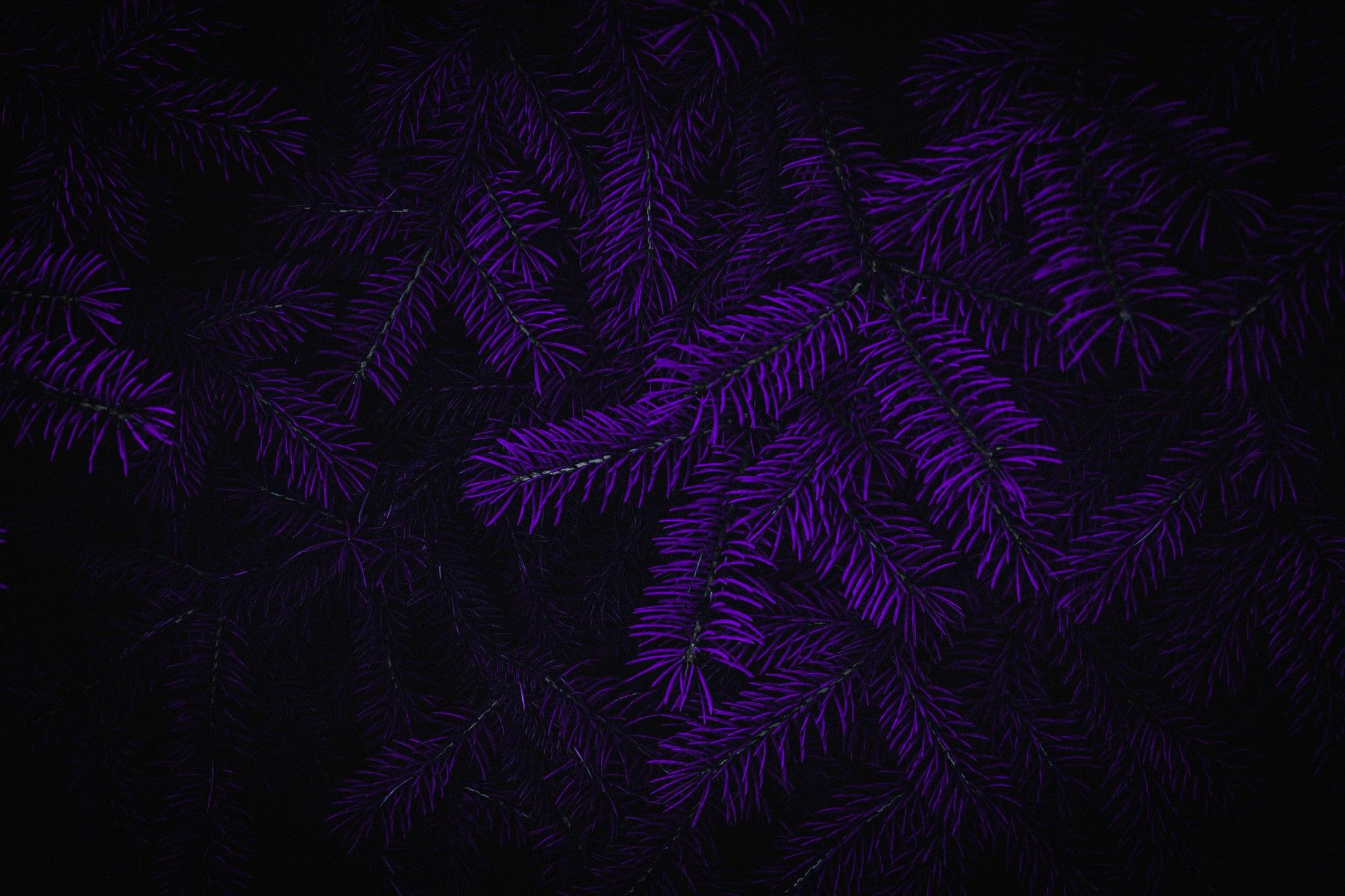 Photohop, dark, purple background Gallery HD Wallpaper