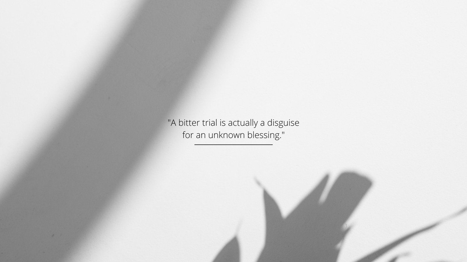 A quote on a white background with a shadow of a plant on the wall - Gray