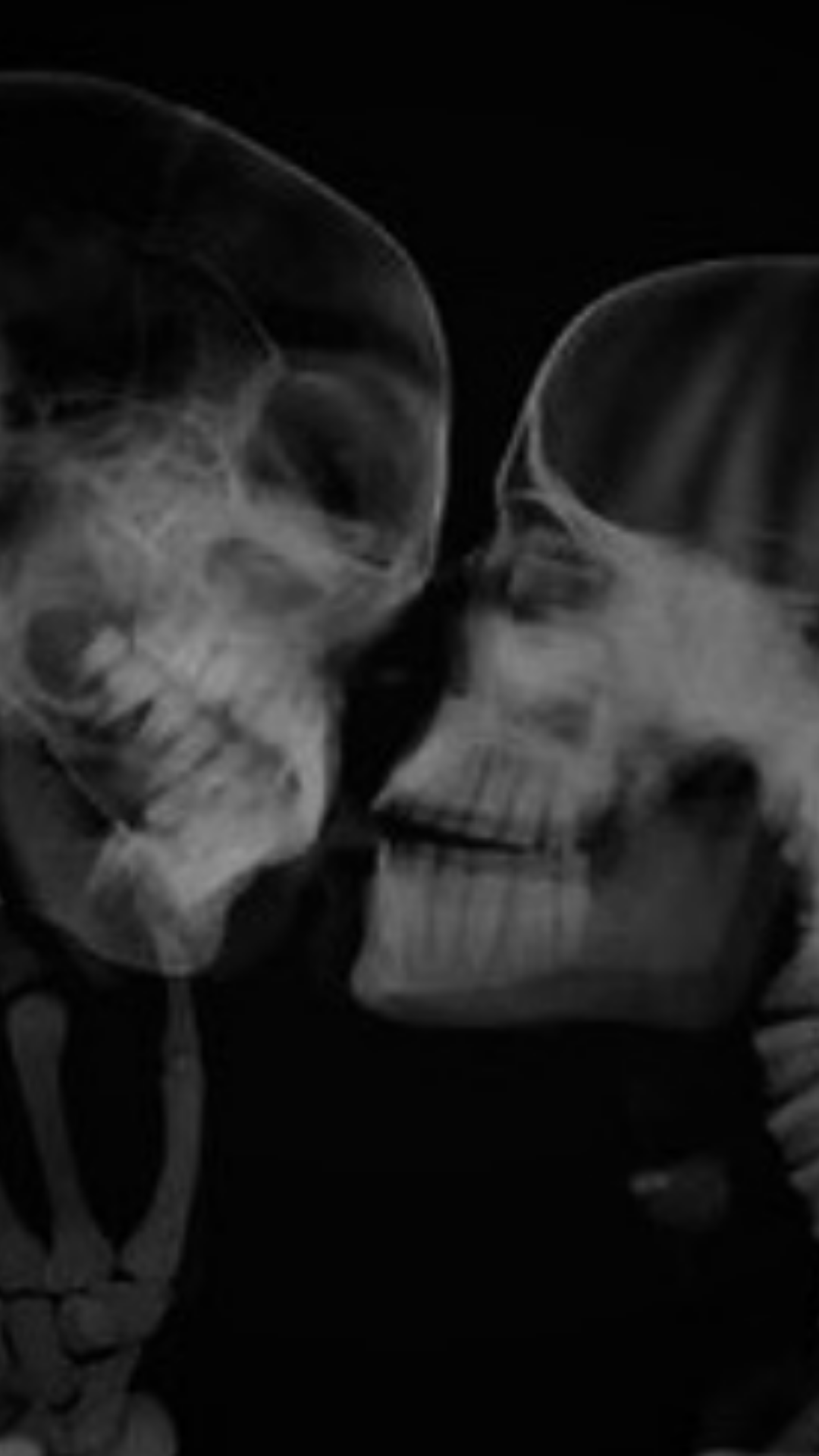 A pair of skeletons kissing in black and white - Skeleton