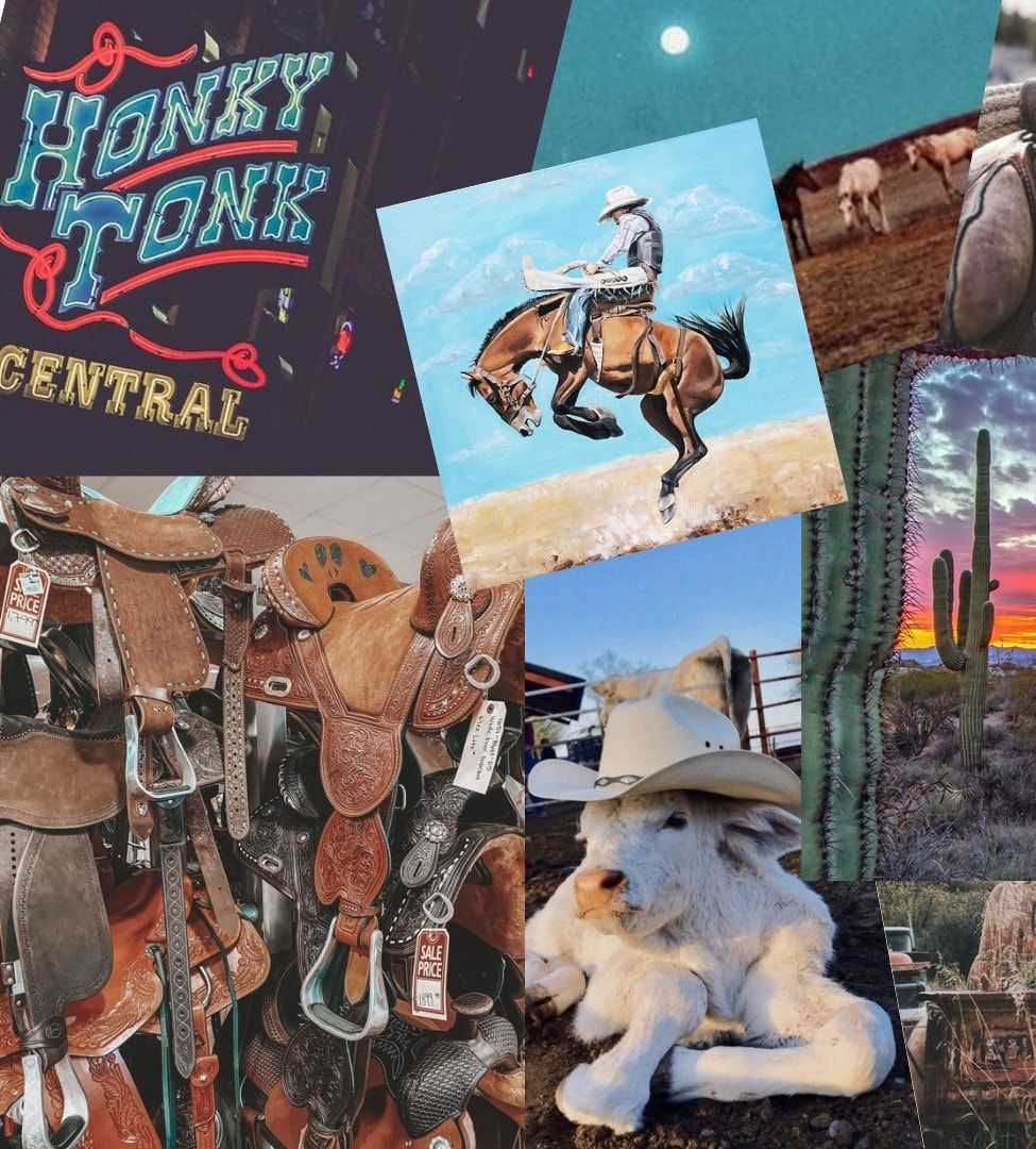 Collage of images of saddles, a cowboy on a horse, a sunset, and a cactus - Cowgirl, western