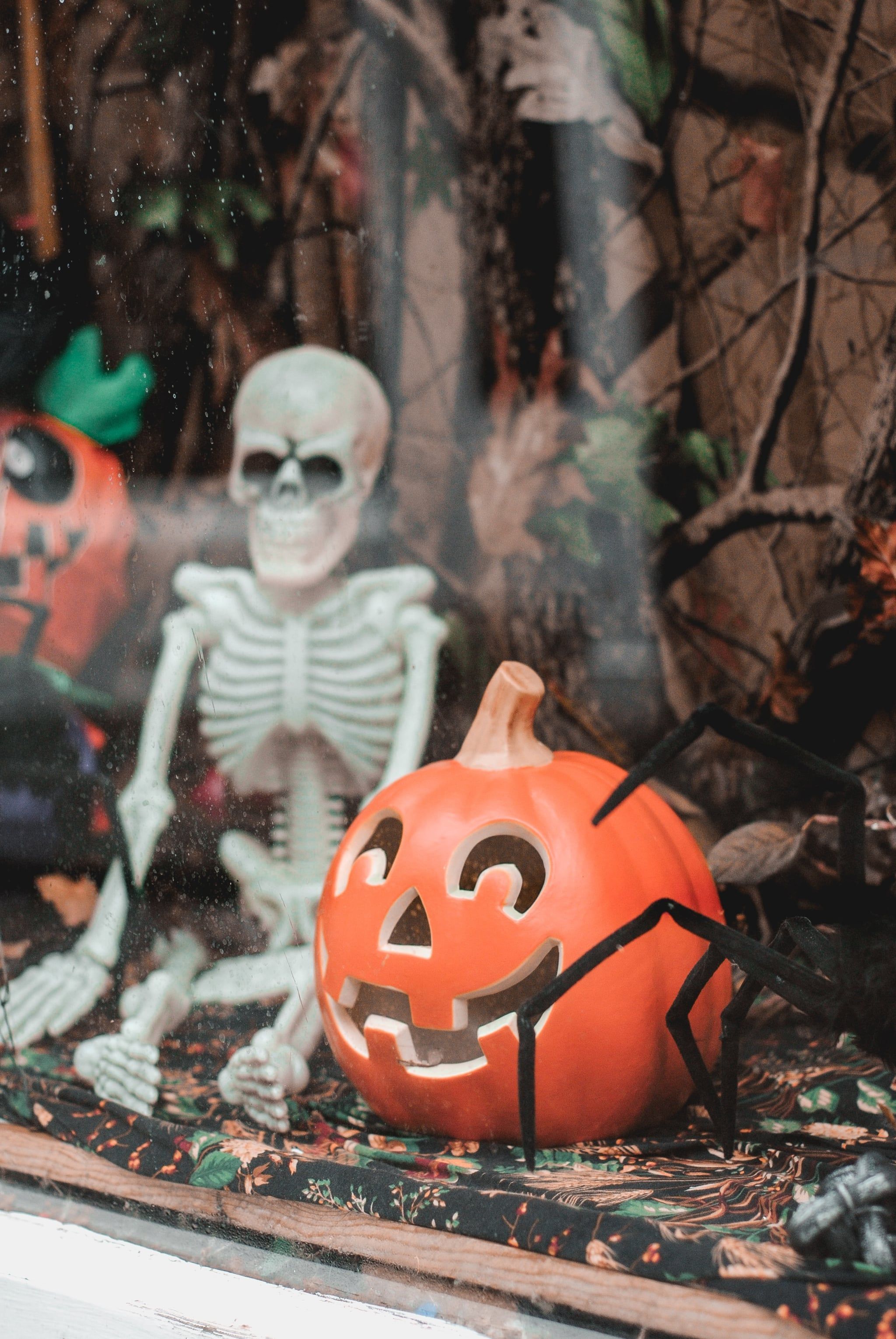 A skeleton and a pumpkin sit on a windowsill. - Skeleton, Halloween, creepy