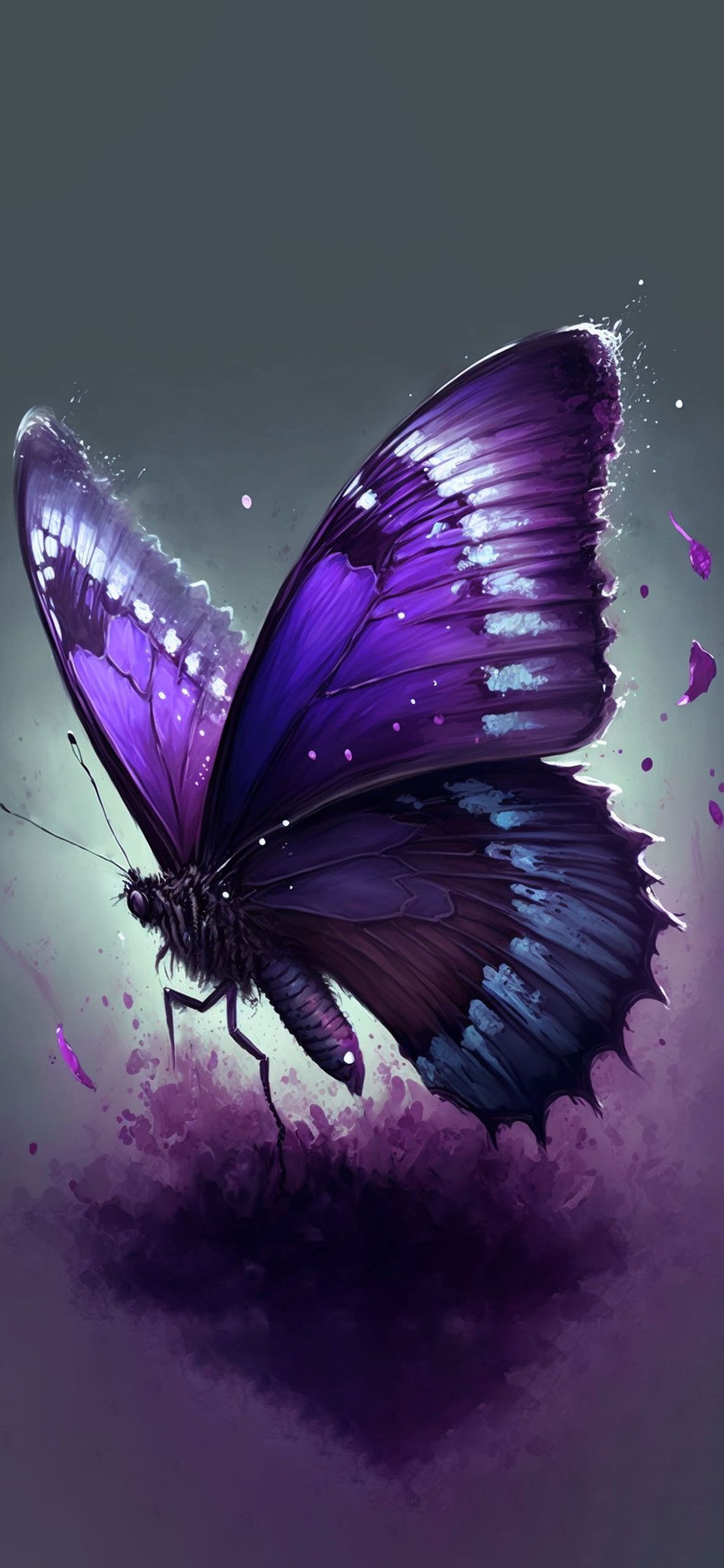A purple butterfly wallpaper for iPhone with high-resolution 1080x1920 pixel. You can set as wallpaper for Apple iPhone X, XS Max, XR, 8, 7, 6, SE, iPad. Enjoy and share! - Butterfly