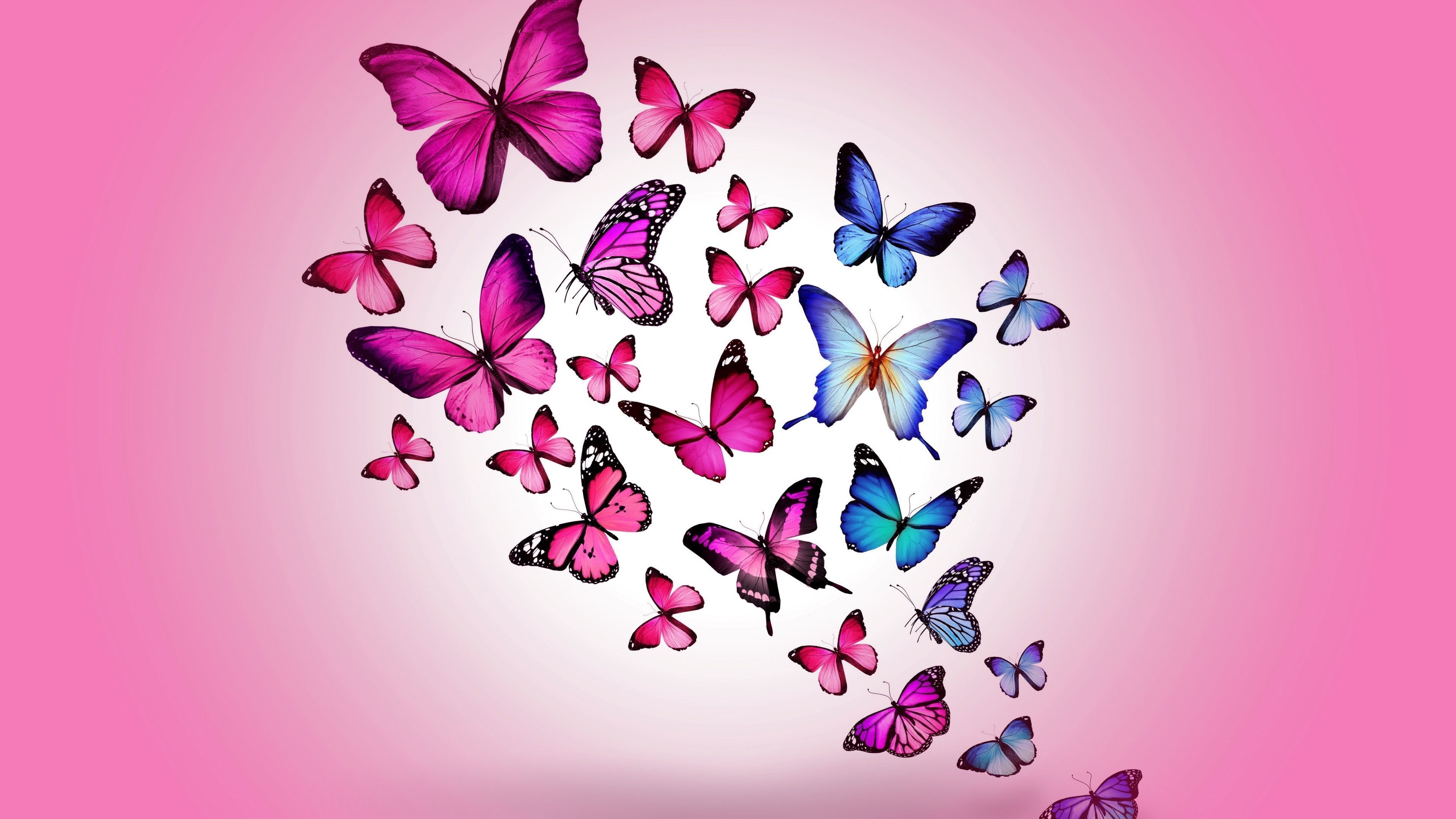 Cute Aesthetic Pink Butterfly Wallpaper
