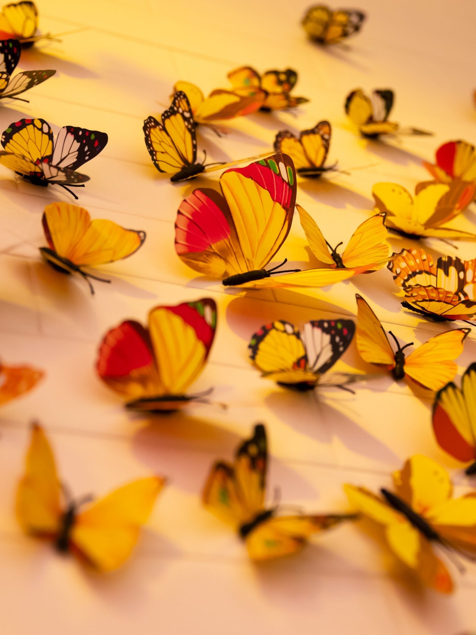 Colorful butterflies Wallpaper 4K, Aesthetic, Animals