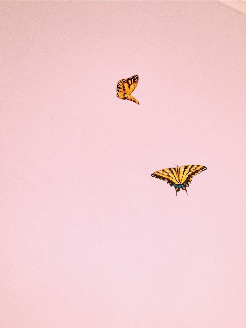 Aesthetic Simple Butterfly Wallpaper