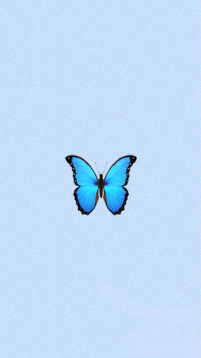 Butterfly Wallpaper. Blue butterfly wallpaper, Light blue aesthetic, Butterfly wallpaper