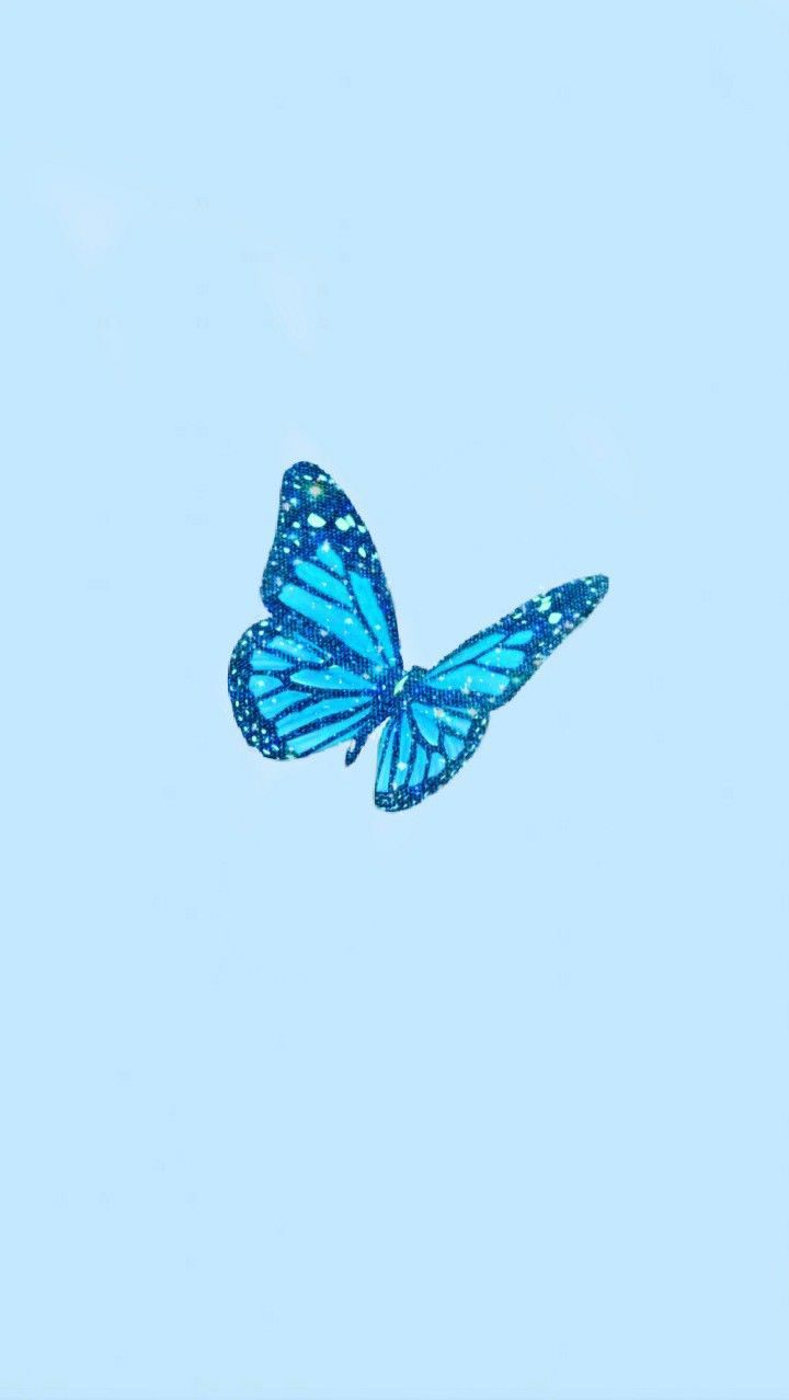 Free download Blue butterfly aesthetic wallpaper Butterfly wallpaper Blue [720x1278] for your Desktop, Mobile & Tablet. Explore Soft Blue Aesthetic Wallpaper. Soft Pink Wallpaper, Soft Background, Soft Pink Background