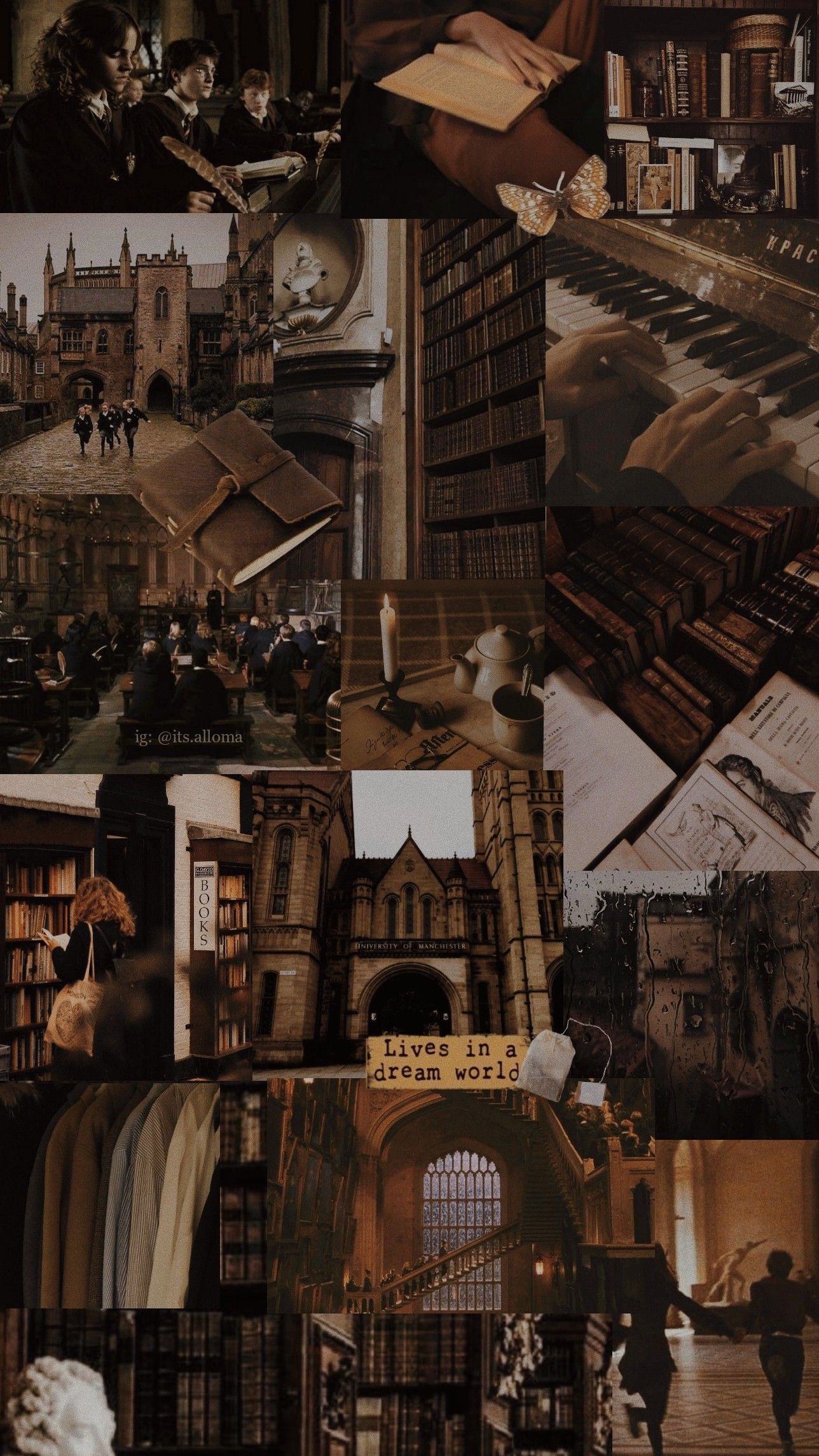 Aesthetic collage of Harry Potter images including Hogwarts, bookshelves, and students. - Dark academia