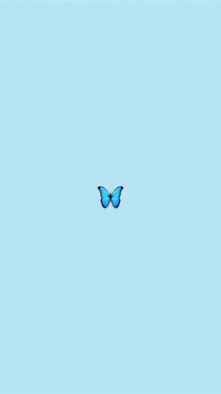 Aesthetic wallpaper with a blue butterfly - Simple