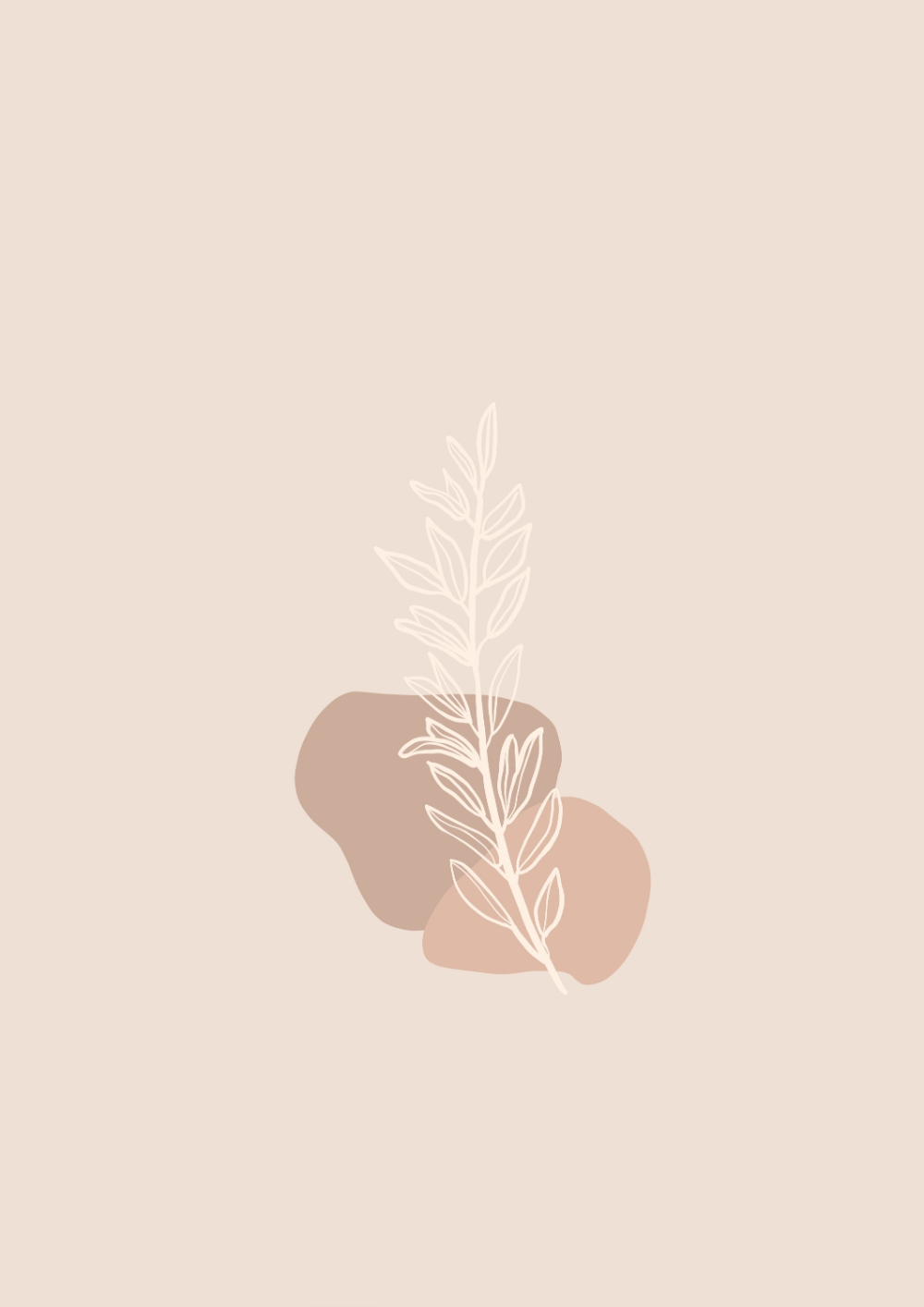 A plant and some rocks on the ground - Minimalist, minimalist beige, warm