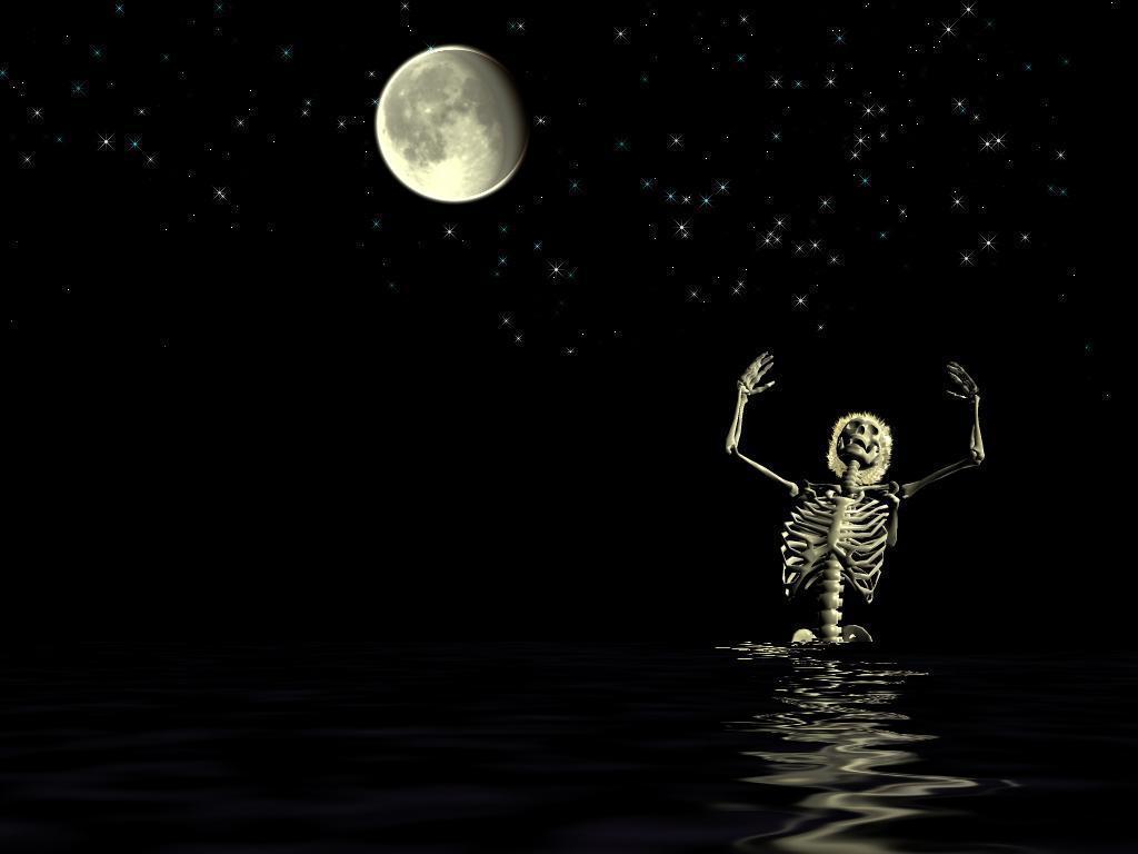 Skeleton in the moonlight - Skeleton
