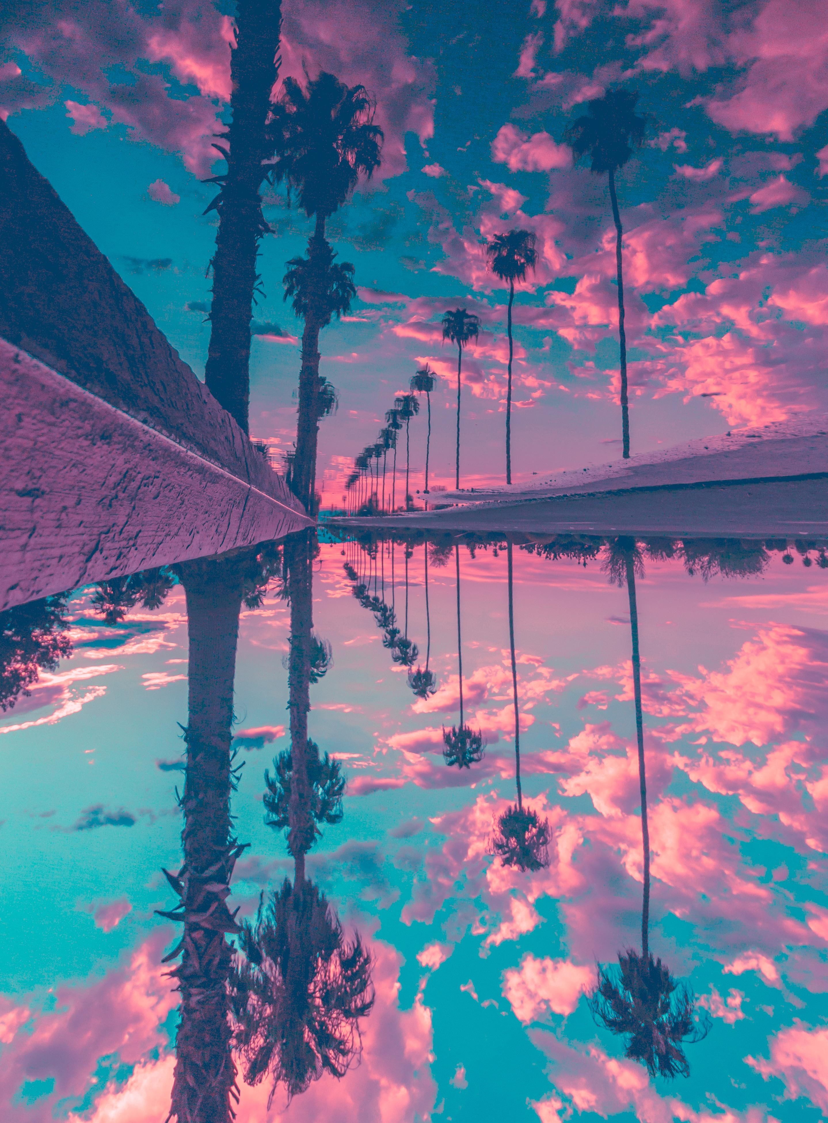 A mirrored image of palm trees and a bridge with a pink and blue sky - Cool, HD, lake
