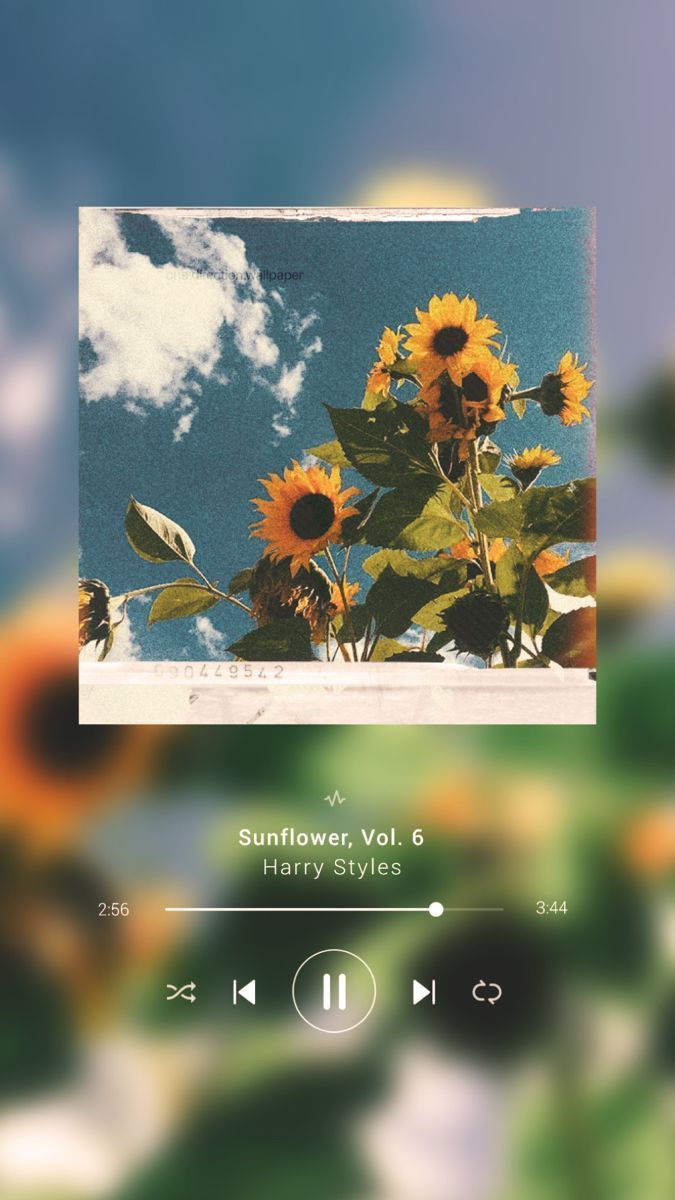A screenshot of an app with sunflowers - Sunflower, Harry Styles