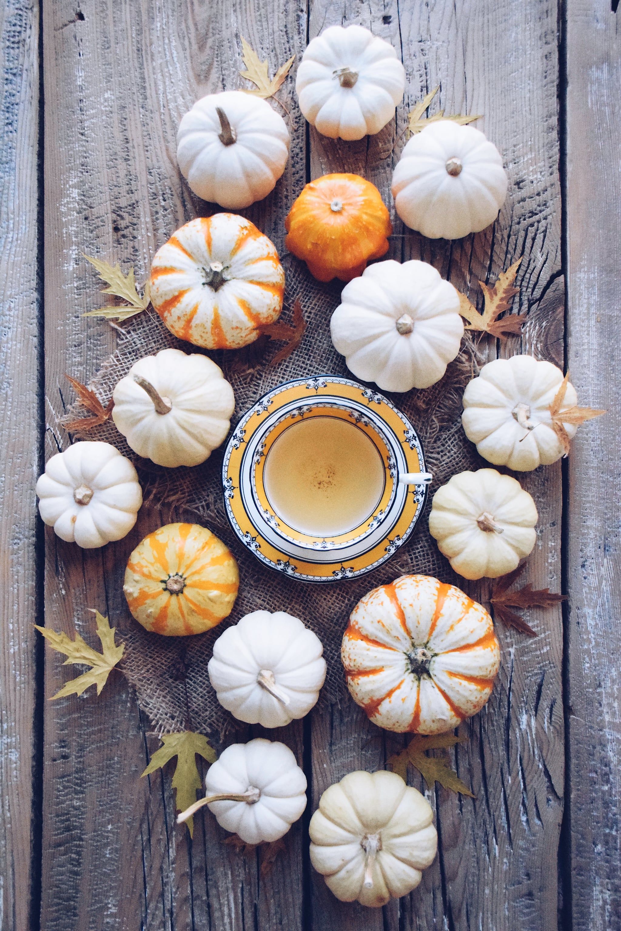 White and orange pumpkins on a wooden table with a cup of tea. - Pumpkin