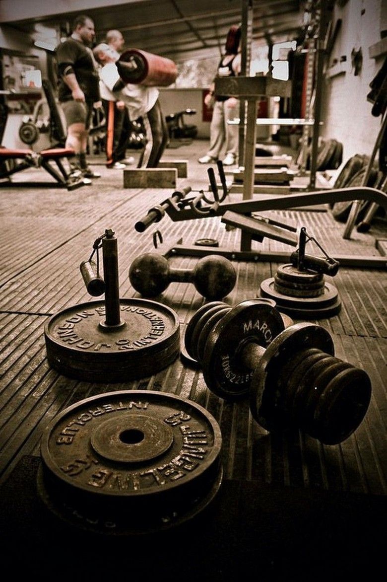 A gym with weights and dumbbells on the floor - Gym
