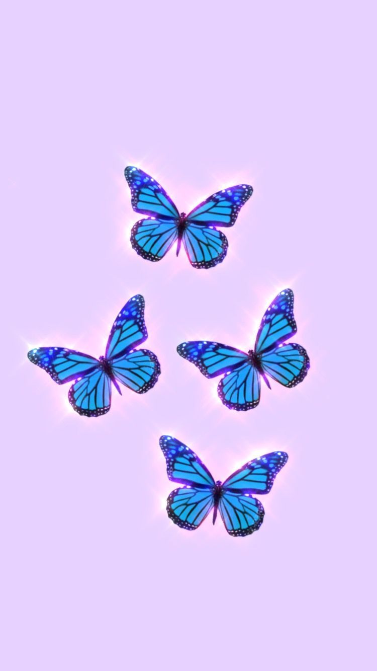 Butterfly aesthetic wallpaper. Butterfly wallpaper, Purple butterfly wallpaper, Butterfly wallpaper iphone