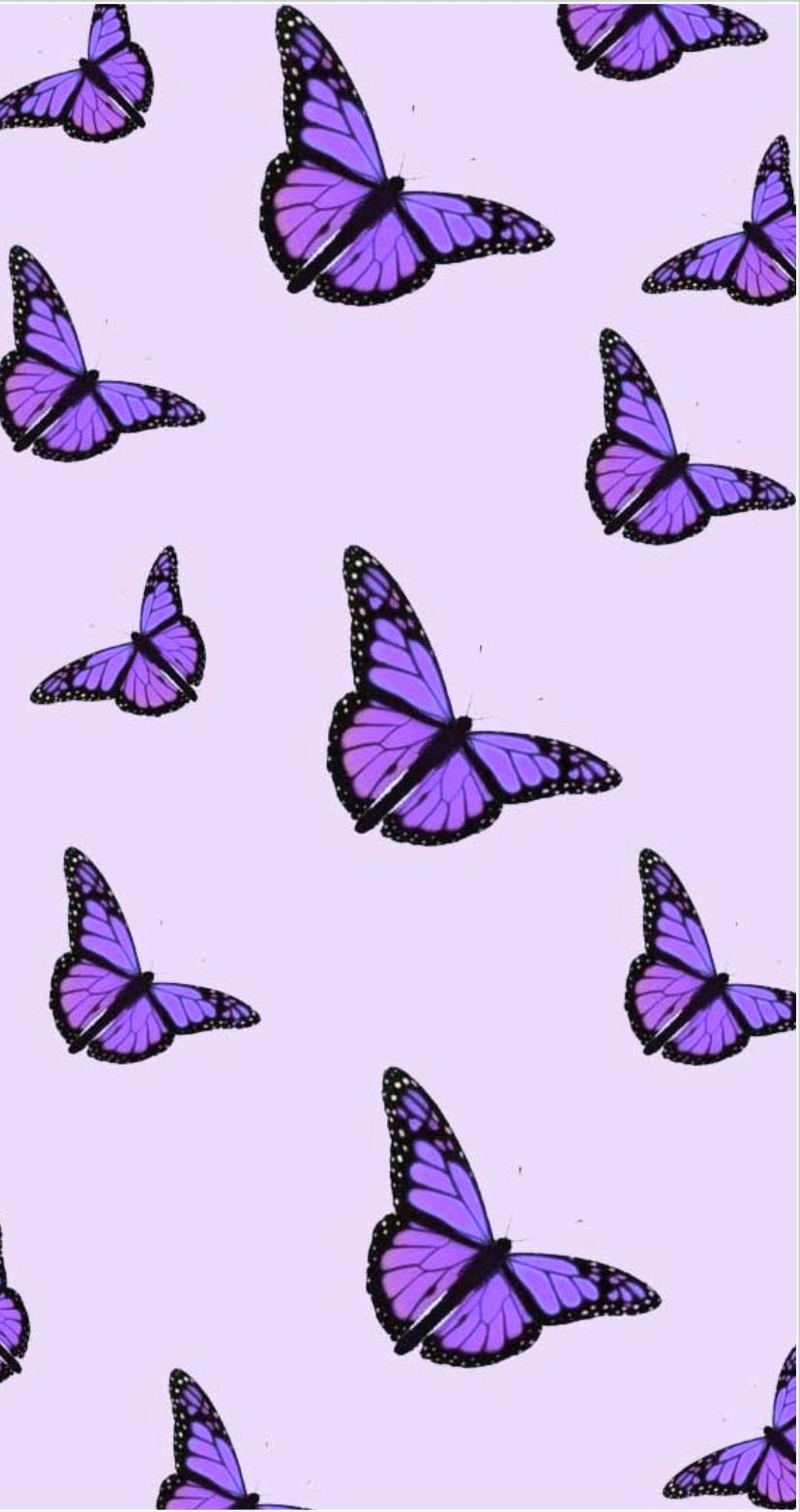 A purple butterfly pattern on pink background - Butterfly