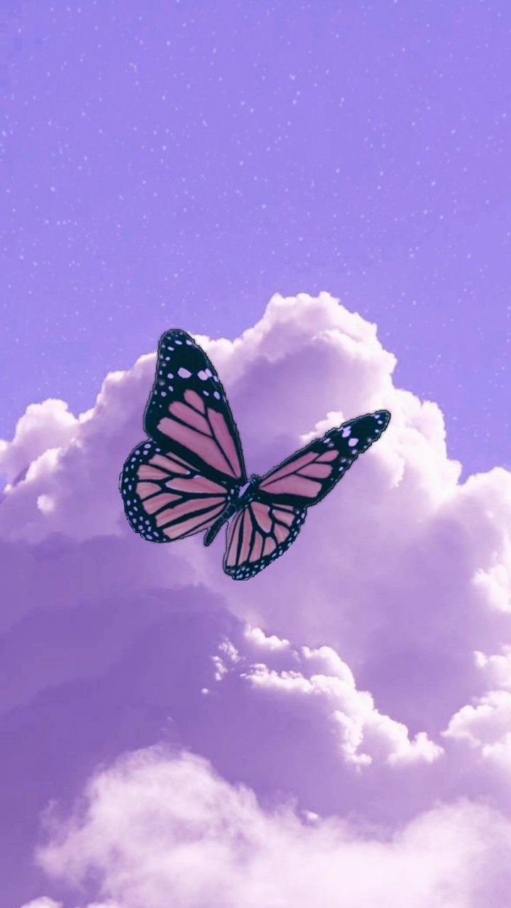 Aesthetic butterfly wallpaper for phone. - Butterfly, cute purple