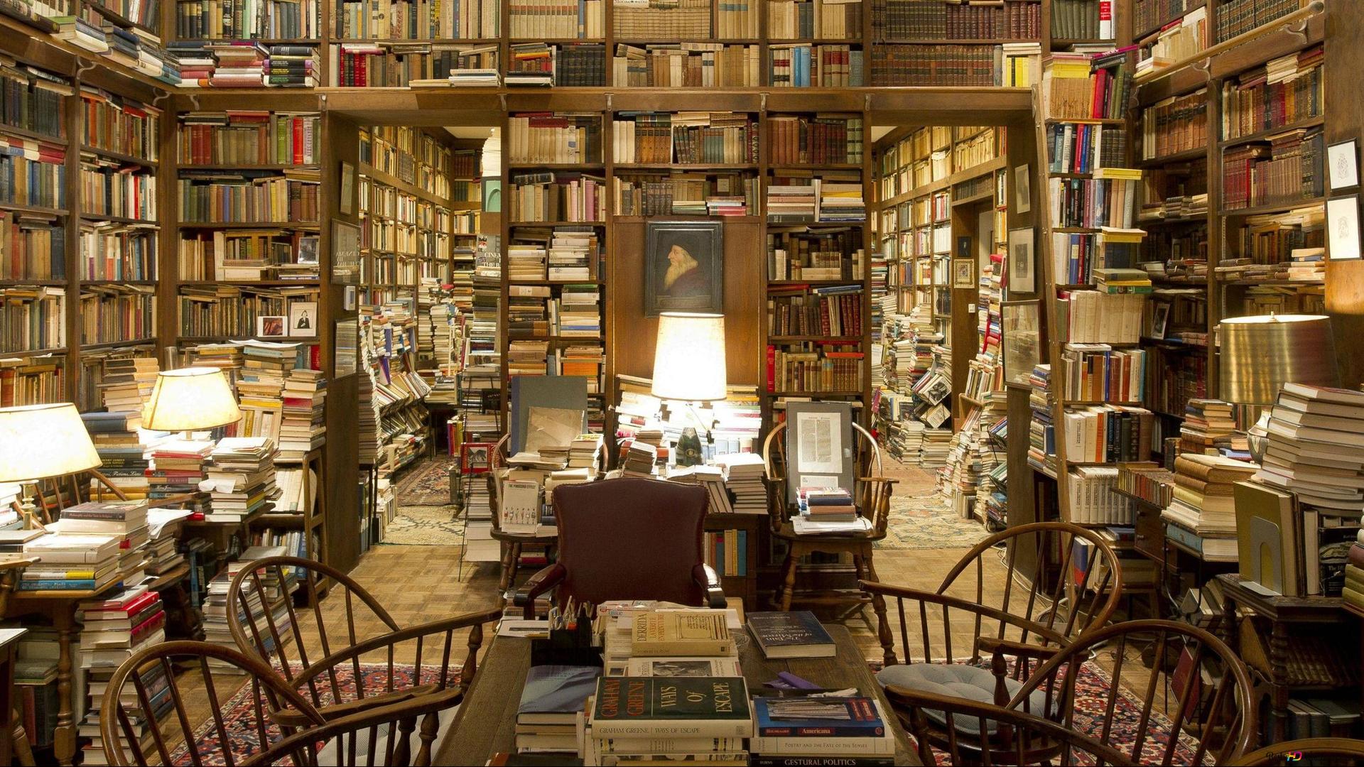 A large naturally lit library with bookshelves 2K wallpaper download