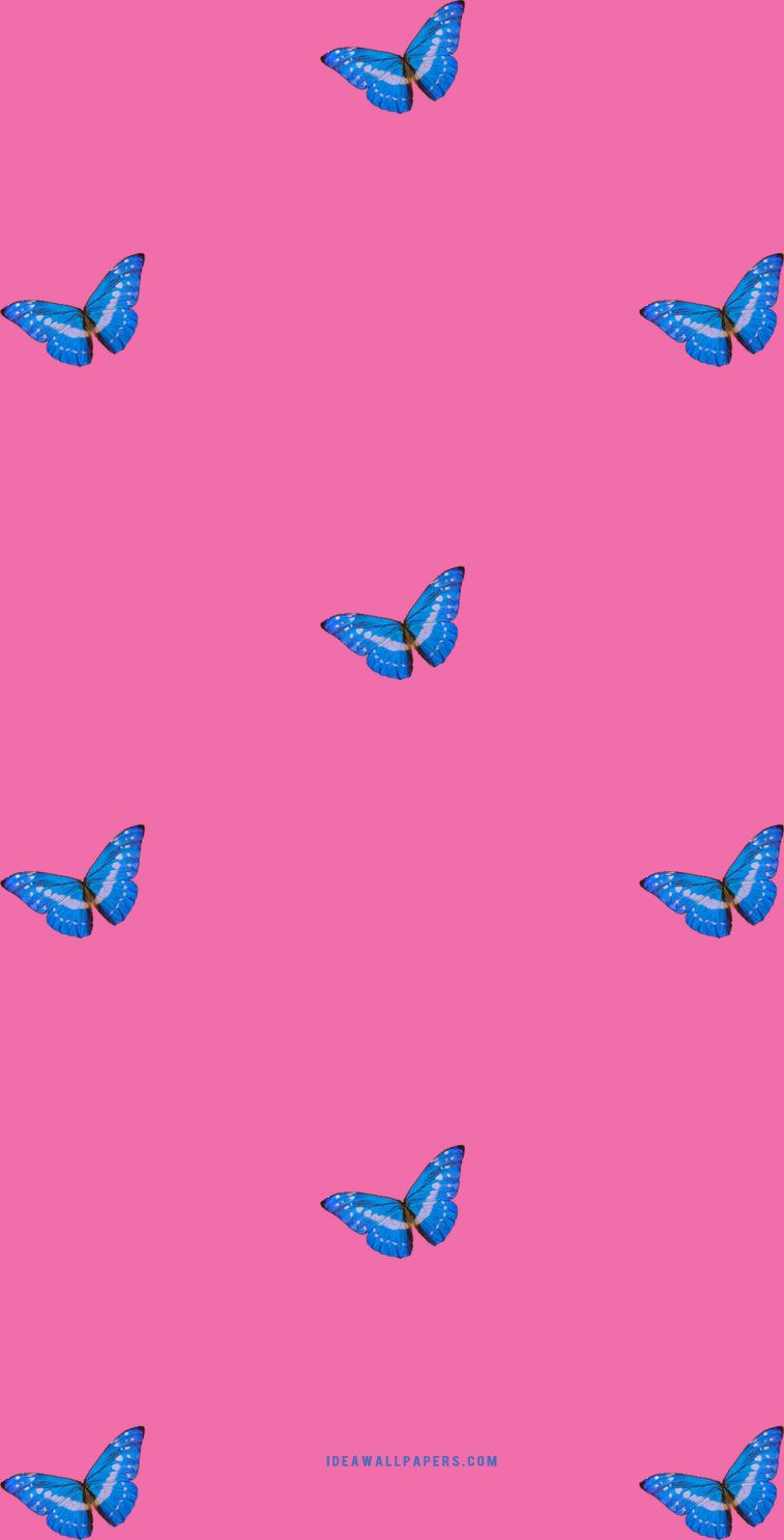 Blue butterfly pattern on a pink background - Butterfly
