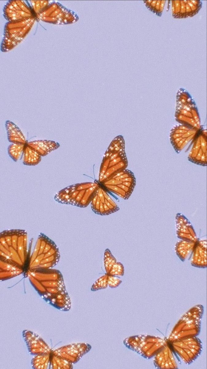 Wallpaper with orange butterflies on a purple background - Butterfly